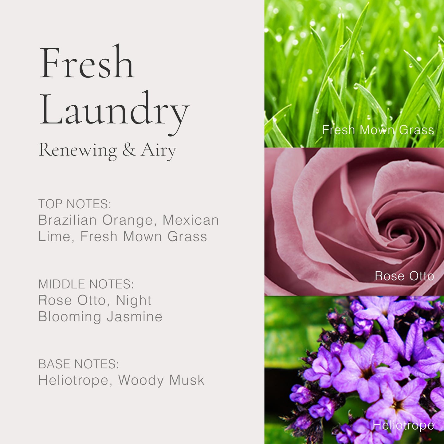 CLEAN CLASSIC Fresh Laundry 30mL