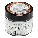 LeChat Perfect Match Sky Dust 3 in 1 Dip Glitter Powder - Copper Comet #SDP11 - 42 g Beauty & Personal Care LECHAT