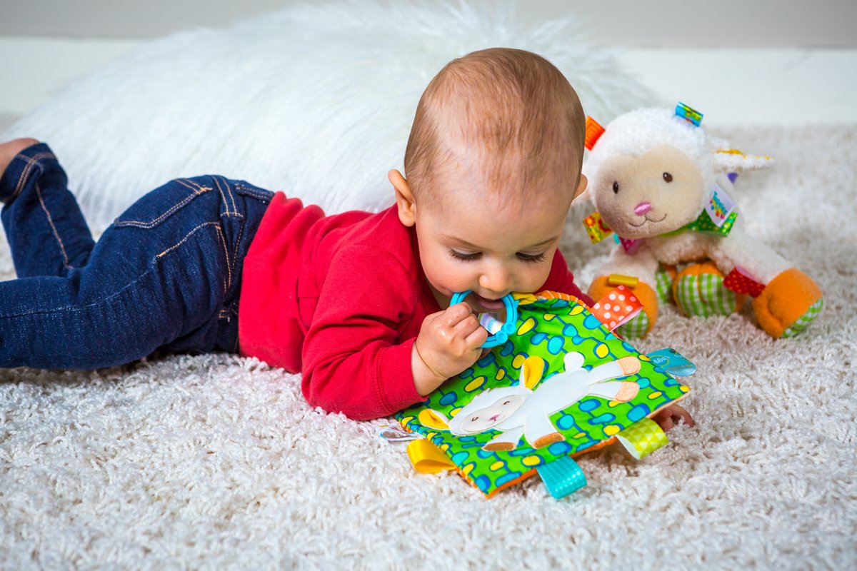 Mary Meyer Taggies Crinkle Me Baby Toy, Sherbet Lamb