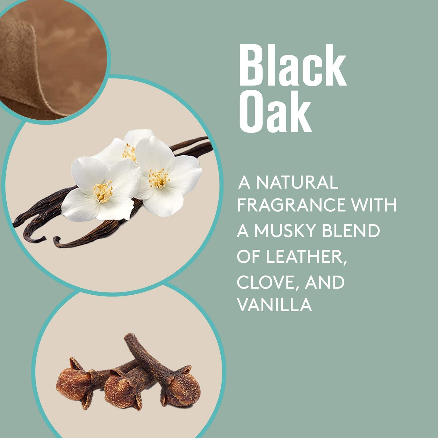 Barrel and Oak Black Oak Cologne 2.7oz – Natural Essential Oil Scent for Men, Warm Oak & Spicy Bergamot, Earthy, Paraben & SLS Free