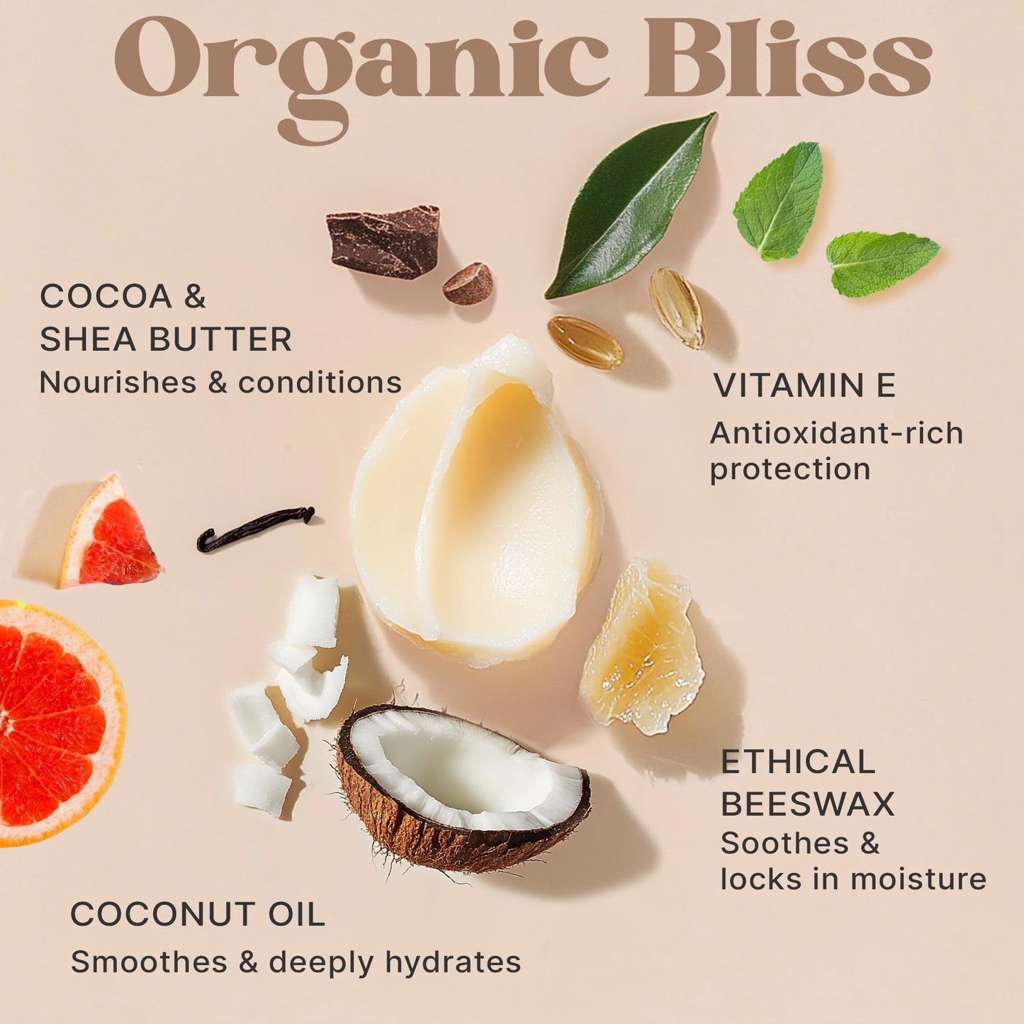 USDA Organic Lip Balm - USA Made with Natural Ingredients - 12-Pack (6 flavors) - Beeswax, Coconut Oil, Vitamin E - Moisturizing Chapstick for Dry