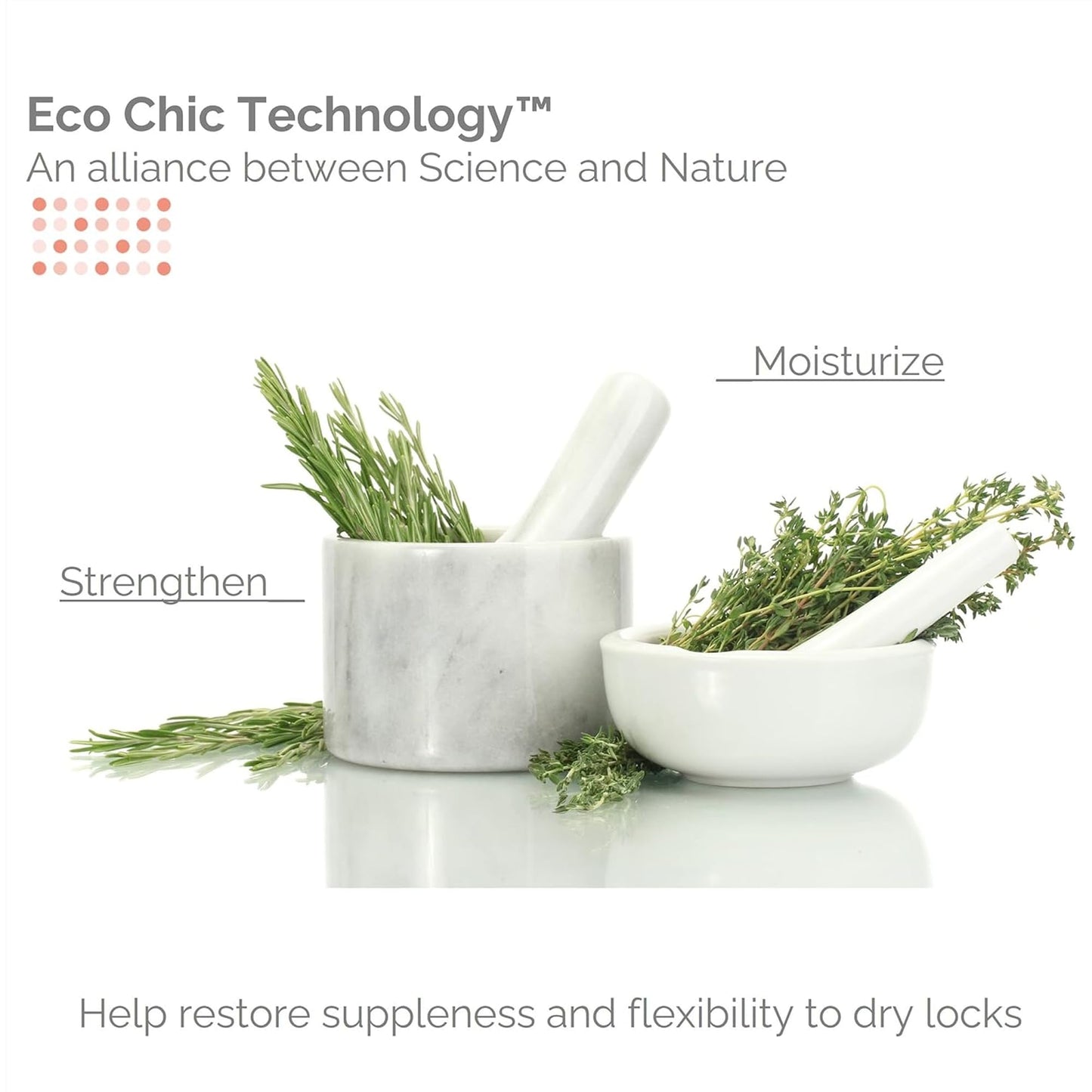 GIOVANNI Eco Chic 50:50 Travel Size Hydrating Shampoo & Conditioner Set - Leaves Hair pH Balanced for Over-Processed Hair, Moisturizes & Protects