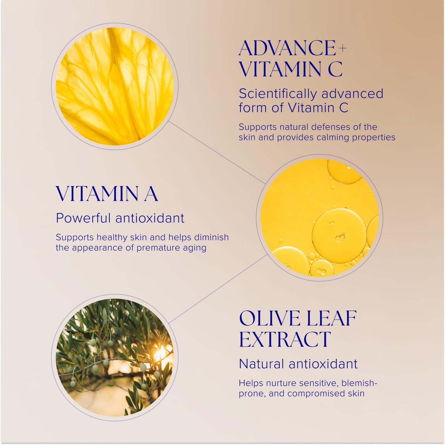 iS CLINICAL Pro-Heal Serum Advance+ Antioxidant-Rich Serum With Vitamin C, E, and A for Redness, Inflammation, Wrinkle-Smoothing, Sun Damage Repairing