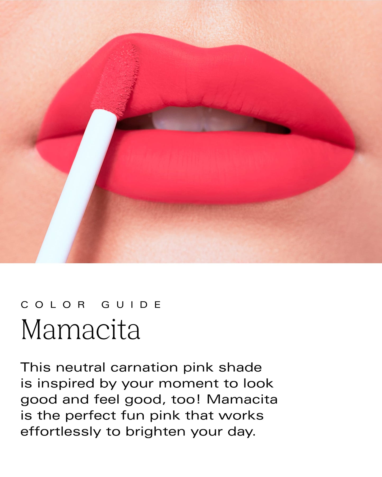 Bold Aspirations Vegan Liquid Lipstick