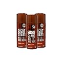 Right Guard Sport Deodorant, Aerosol, Original 8.5 oz (Pack of 3)