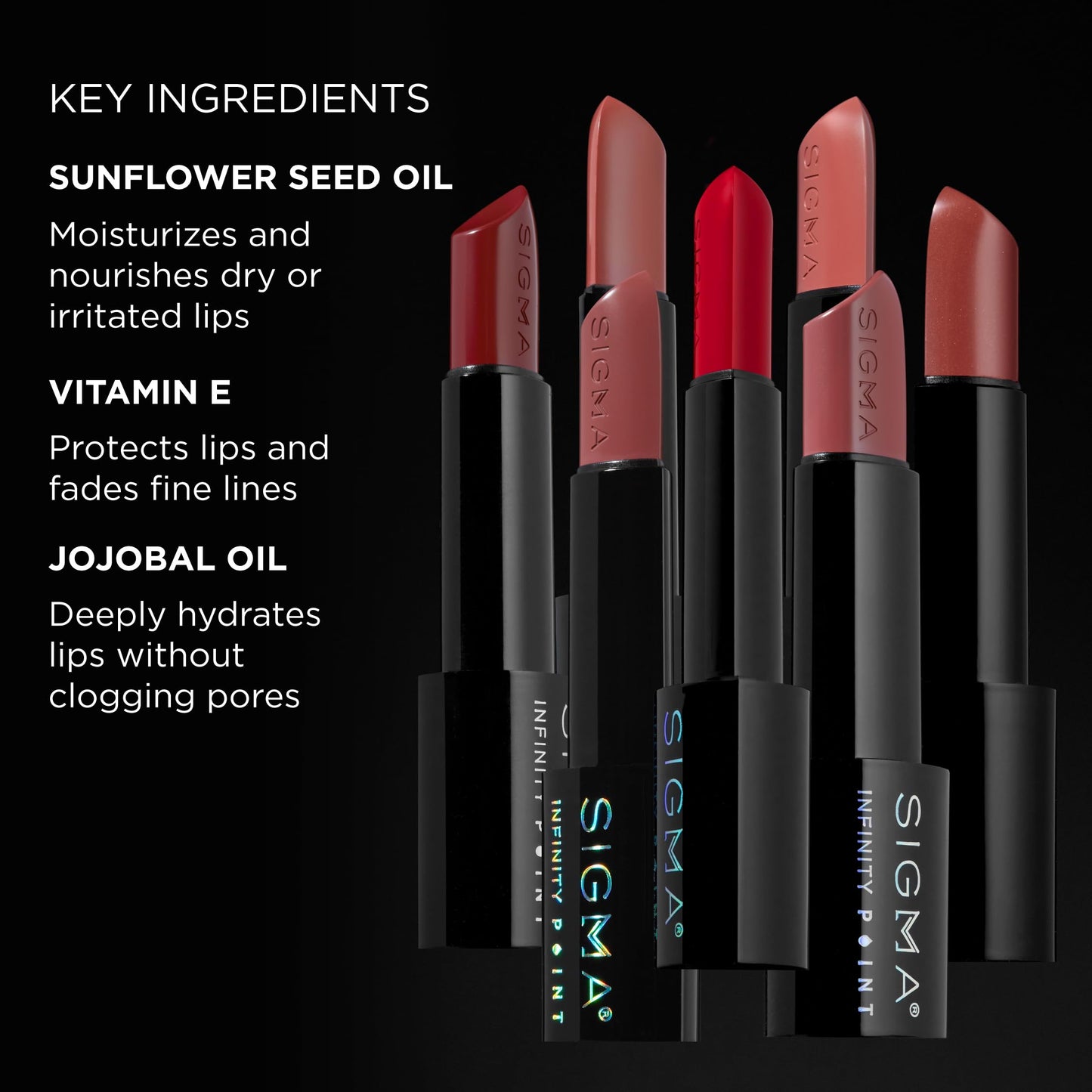 Sigma Beauty Infinity Point Lipstick - New Mod