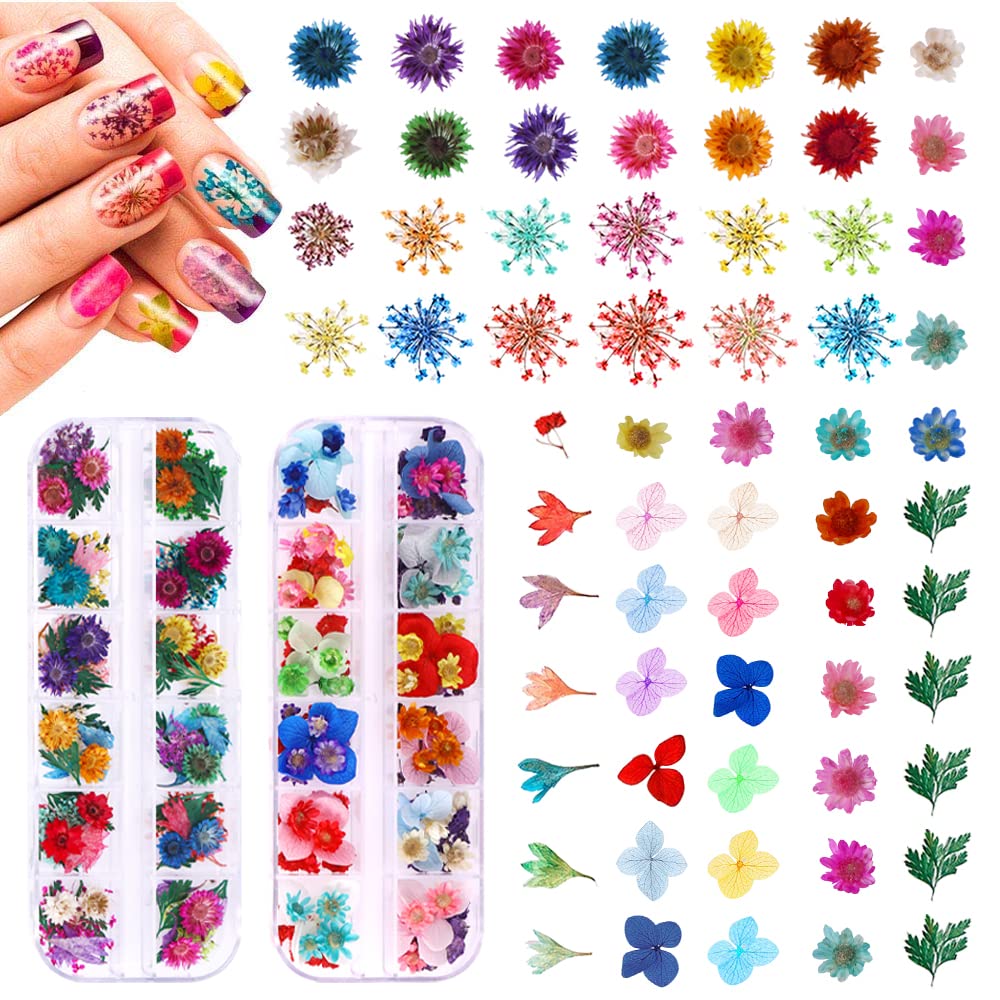 216PCS Dried Flowers - Nail Art Accessories Kits, 57 Color Lovely Natural Dried Flowers for Resin Molds and Nails, YWLI