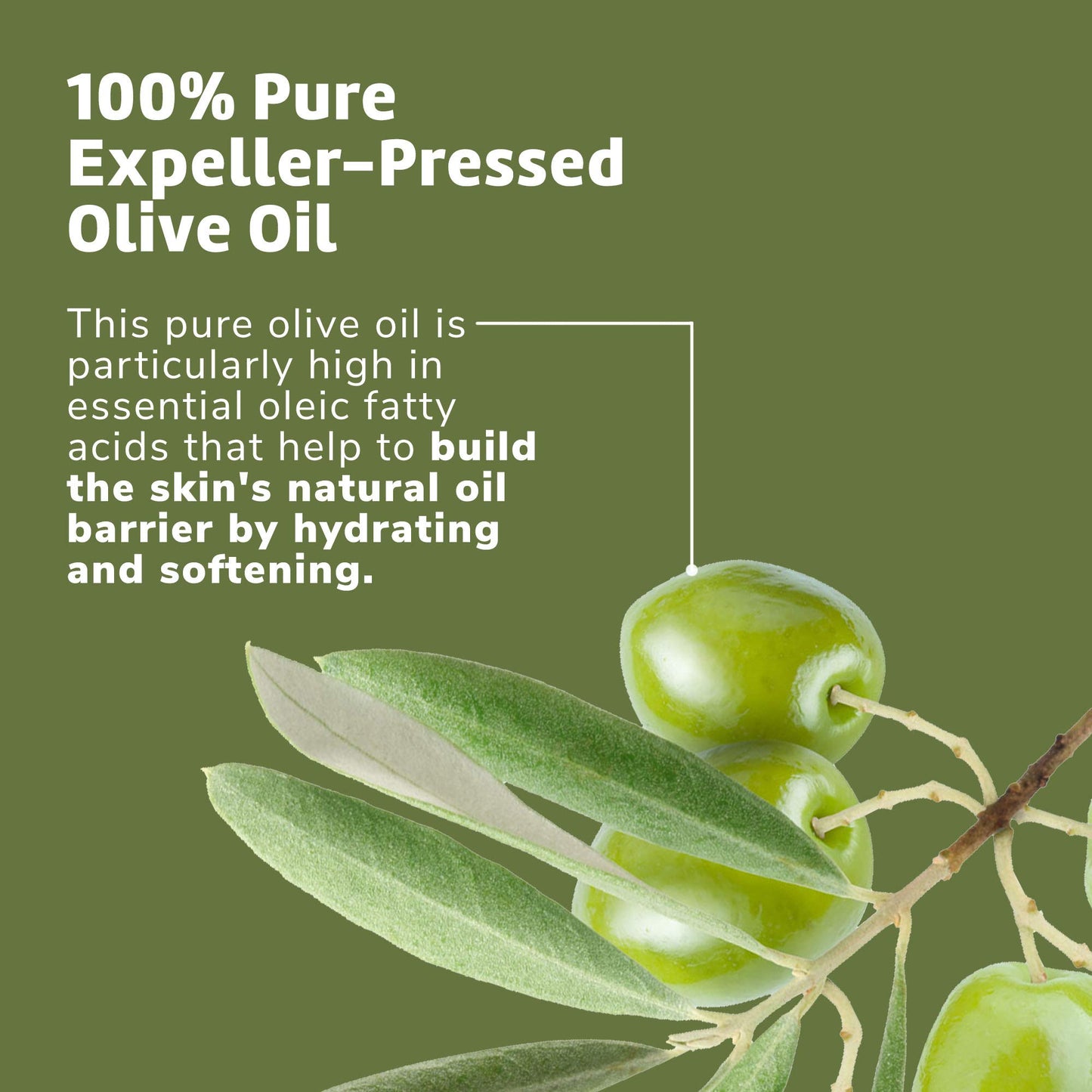 De La Cruz Pure Olive Oil - Natural Expeller Pressed Olive Oil for Hair and Skin - Lightweight Body Oil for Dry Skin 2 Fl Oz (2 Bottles)