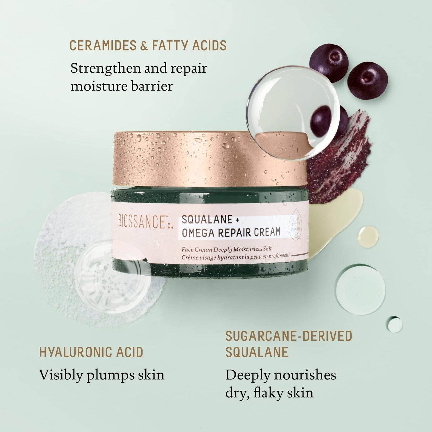 BIOSSANCE Squalane + Omega Repair Cream - Ultra-Moisturizing Face Cream - Skin Care with Hyaluronic Acid, Ceramides, Squalane - Ideal for Dry
