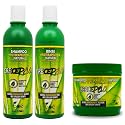 BOE Crece Pelo 3 in 1 Combo Set Shampoo Fitoterapeutico, Rinse Fitoterapeutico, Tratamiento Fitoterapeutico
