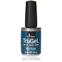 EZ Flow 2nd Launch Blue Topaz Gel Polish, 0.5 Fluid Ounce Beauty & Personal Care EzFlow