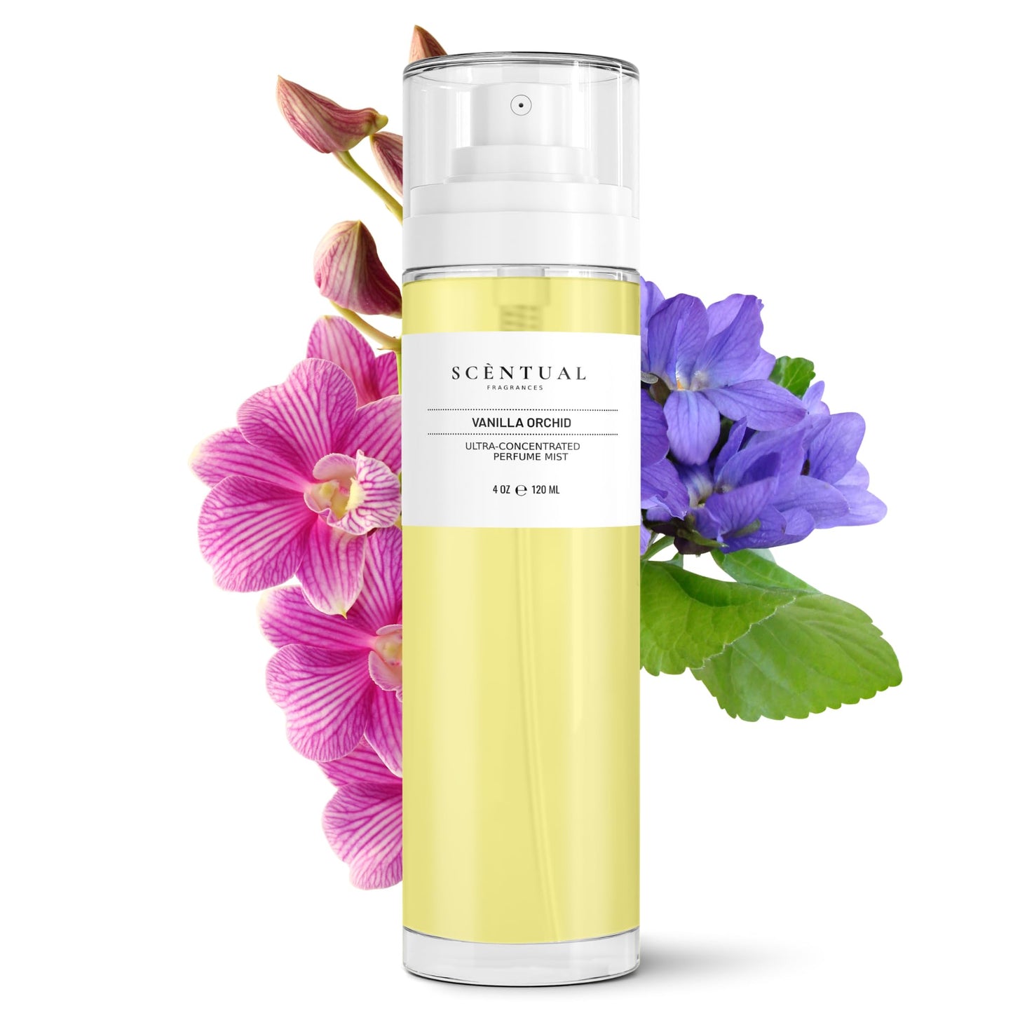 Scentual Fragrances, Ultra-Concentrated Hair & Body Perfume Mist, Long Lasting Women's Fragrance, Gourmand Perfumes for Women, Vegan and Cruelty Free