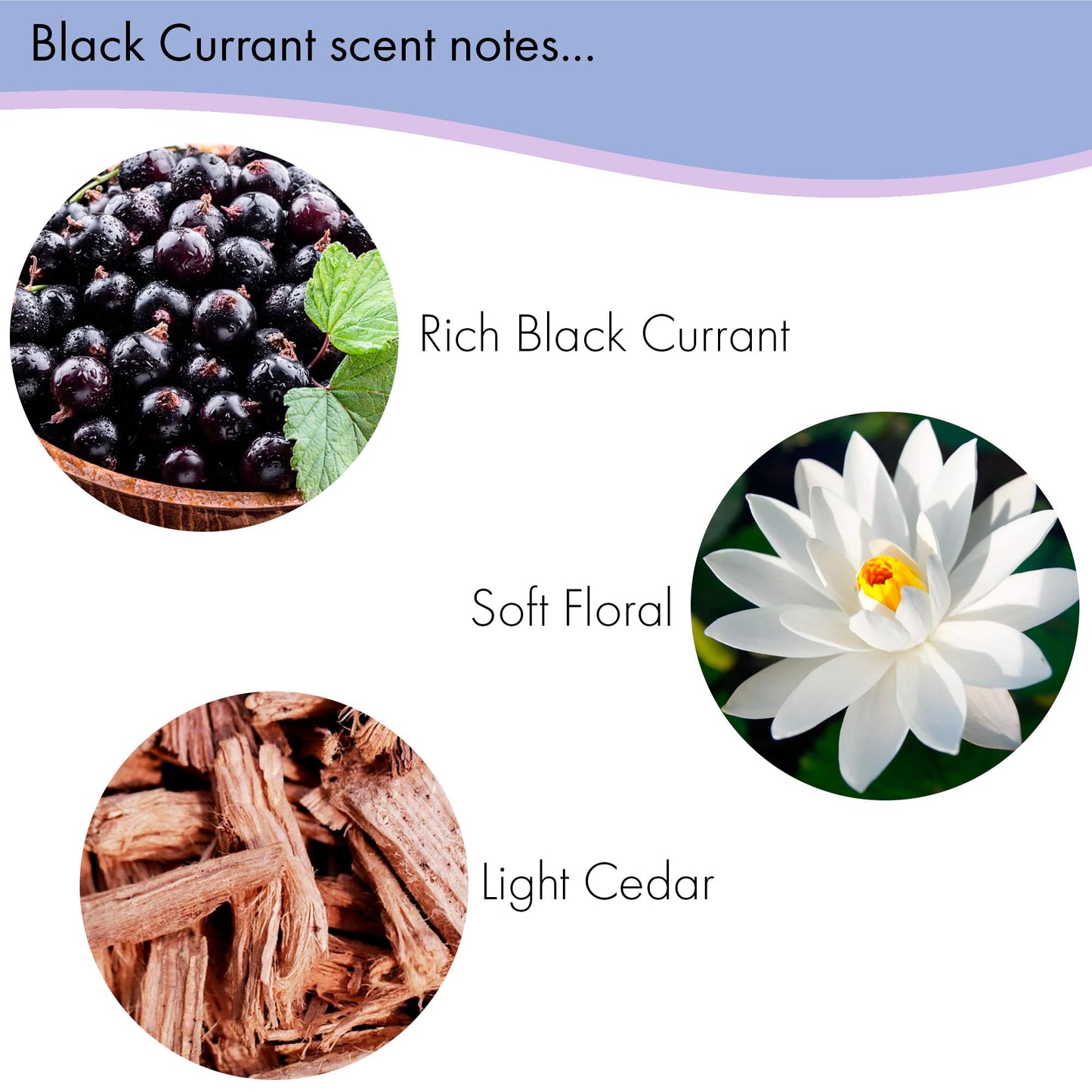 Floral Soap Sampler-Set of 6- Enriched with Shea Butter, Essential Oils, Natural Extracts (African Violet, Black Currant, Almond Butter, Lavender