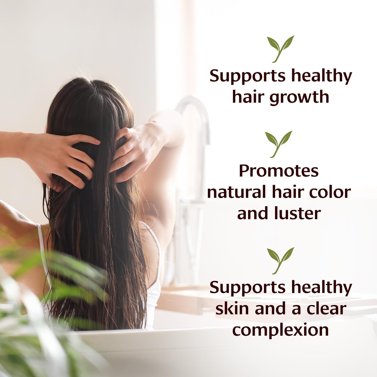 Banyan Botanicals Organic Bhringaraj Oil - Supports Healthy Hair Growth - Oil Made with Traditional Methods - 8 oz. - Non-GMO Sustainably Sourced