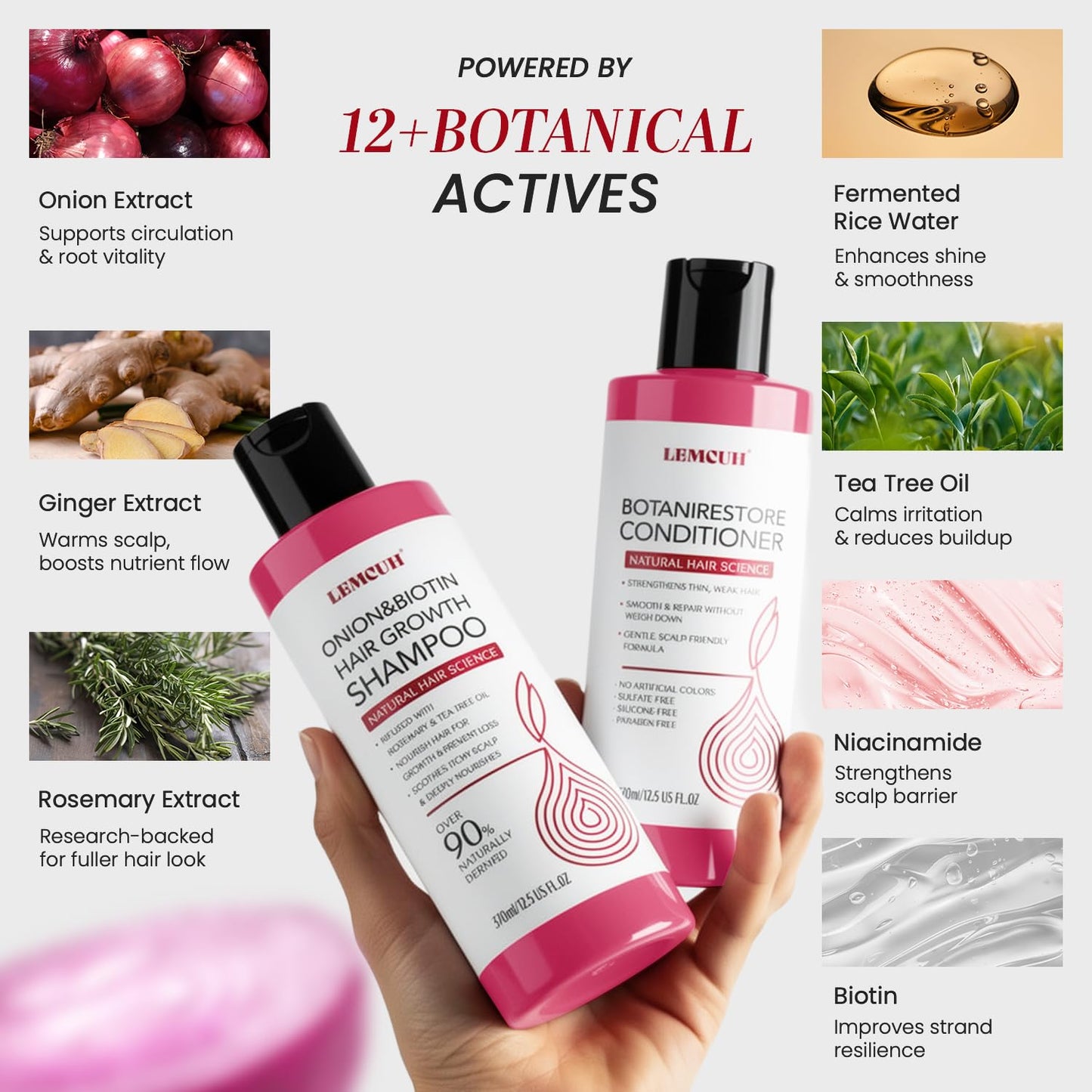 Onion Shampoo and Conditioner For Hair Growth - Onion Hydrosol Shampoo Duo With Biotin, Rosemary For Thinning and Healthier Thicker hair - Paraben