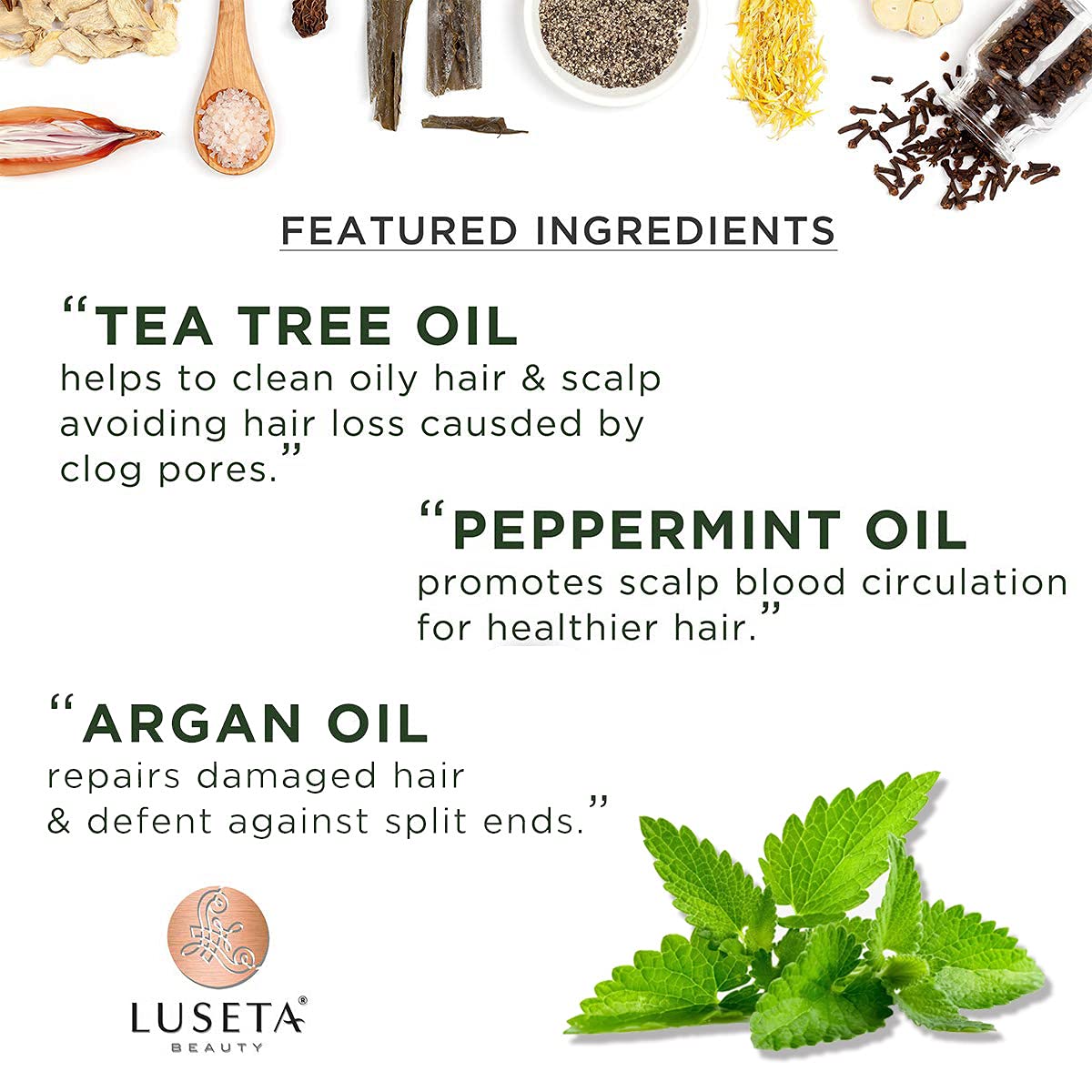Luseta Tea Tree and Mint Conditioner Cleaning & Smoothing, Anti-Dandruff Conditioner 16.9 Oz, Sulfate Free & Paraben Free