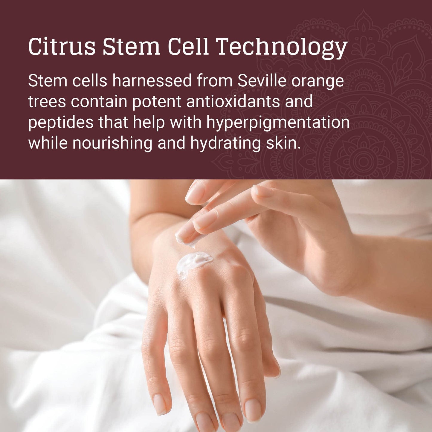 AVYA Hydrating Hand Lotion for Dry Skin - Nourishing Hand Healing Treatment for Dry and Ashy Skin/Hyaluronic Acid and Citrus Stem Cell