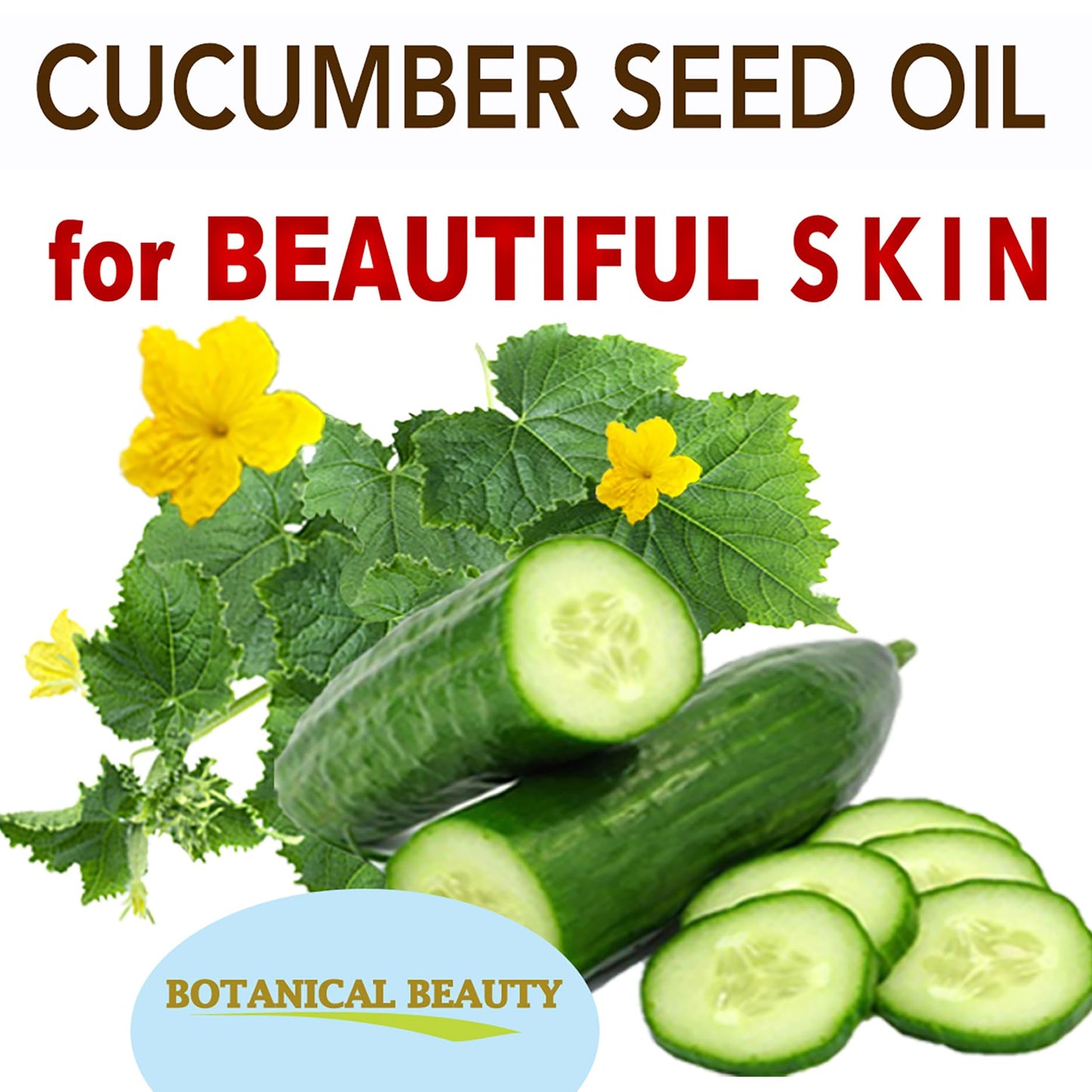 Botanical Beauty CUCUMBER SEED OIL (NOT ESSENTIAL OIL) 100% Pure Natural Refined Cold Pressed Carrier Oil 1 Fl oz - 30 ml for Face