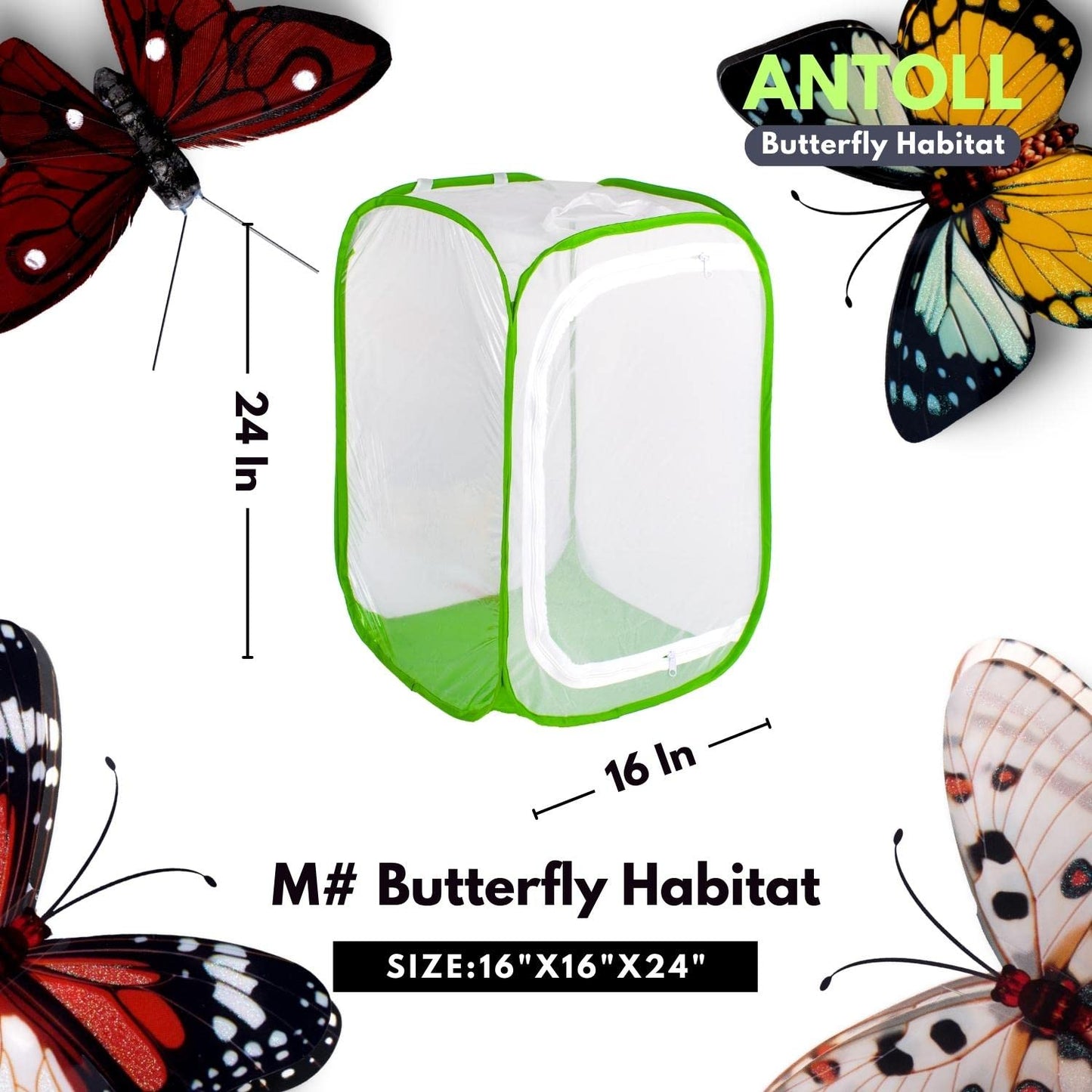Antoll 3-Pack 24" Green Butterfly Habitat Cage – Monarch & Caterpillar Mesh Enclosure, Pop-Up Insect Observation Cage 16