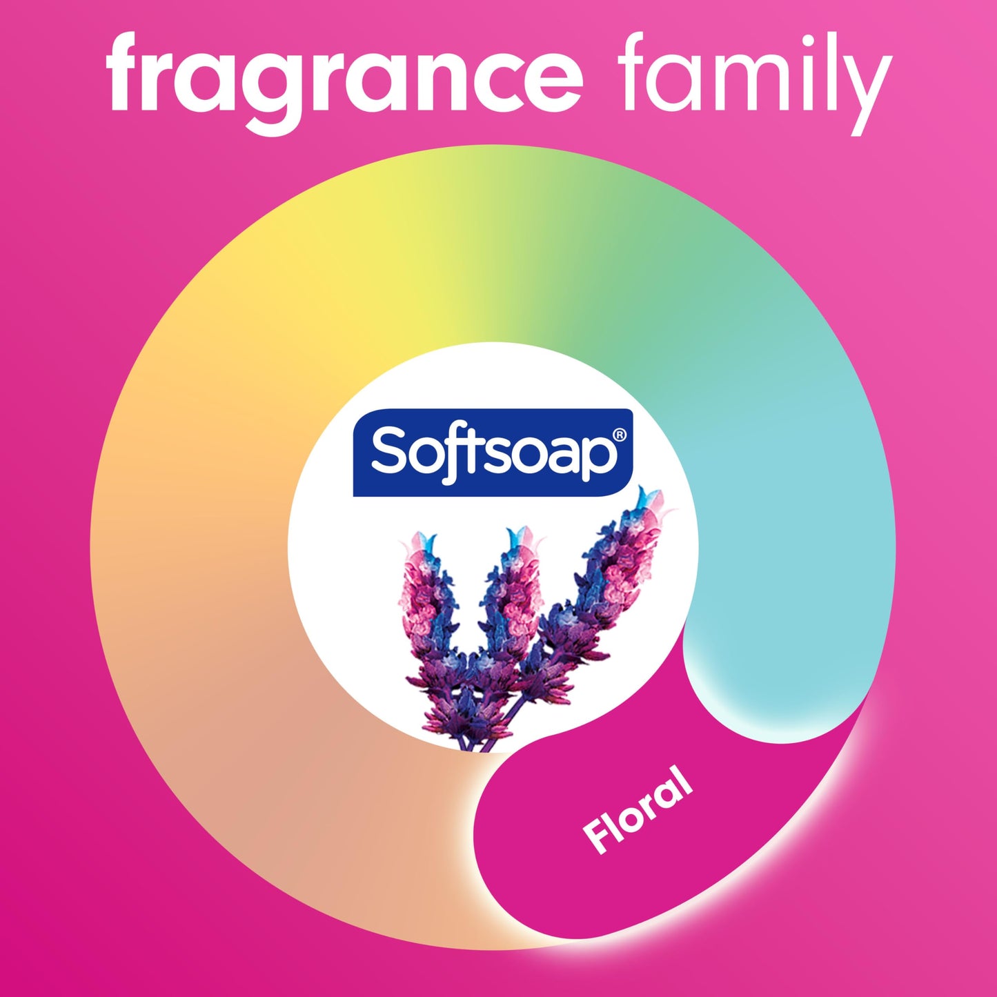 Softsoap Coconut & Hibiscus Scent Hydrating Liquid Hand Soap, Liquid Hand Soap, 11.25 Fl Oz (Pack of 6) Beauty and Personal Care Softsoap