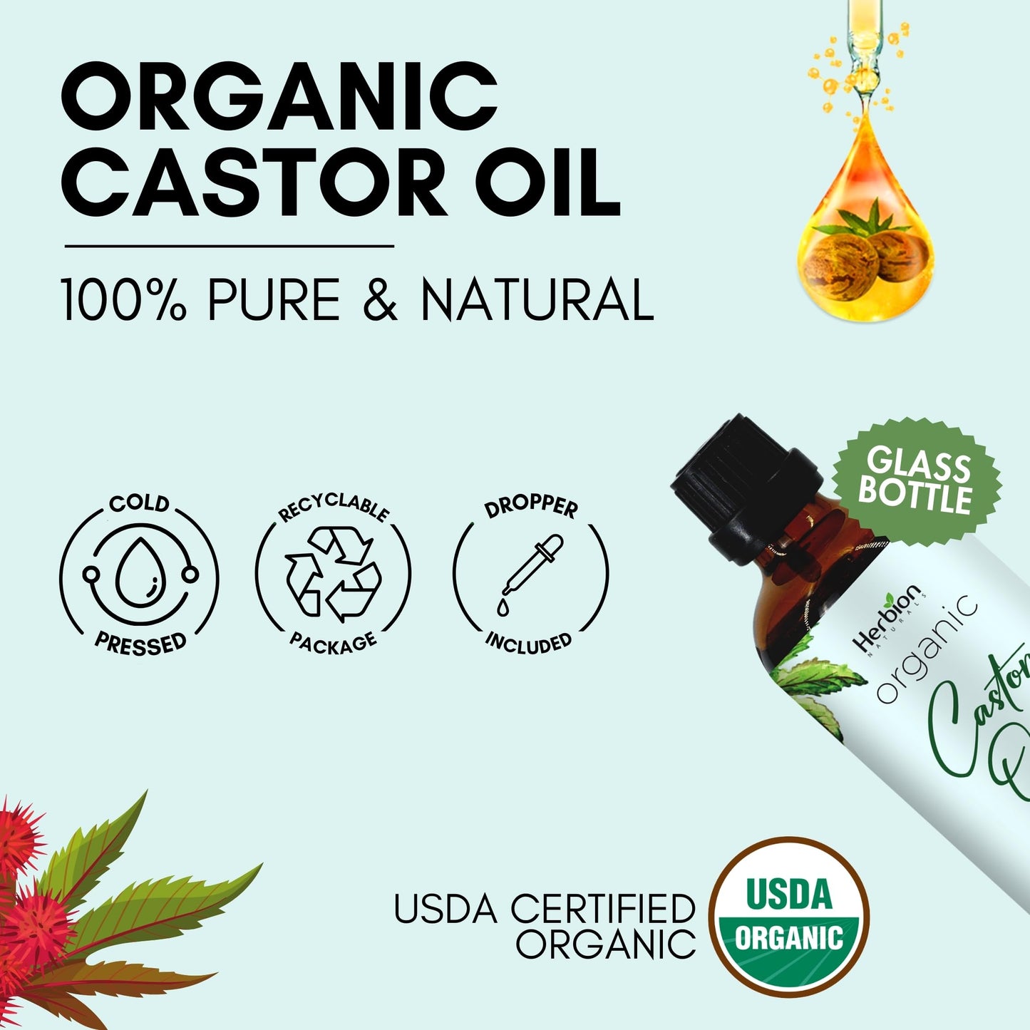 Herbion Naturals Organic Castor Oil USDA Certified, 100% Pure, Cold Pressed, Hexane-Free. Moisturizer & Hair Treatment. Glass Bottle w/Dropper, 3.38