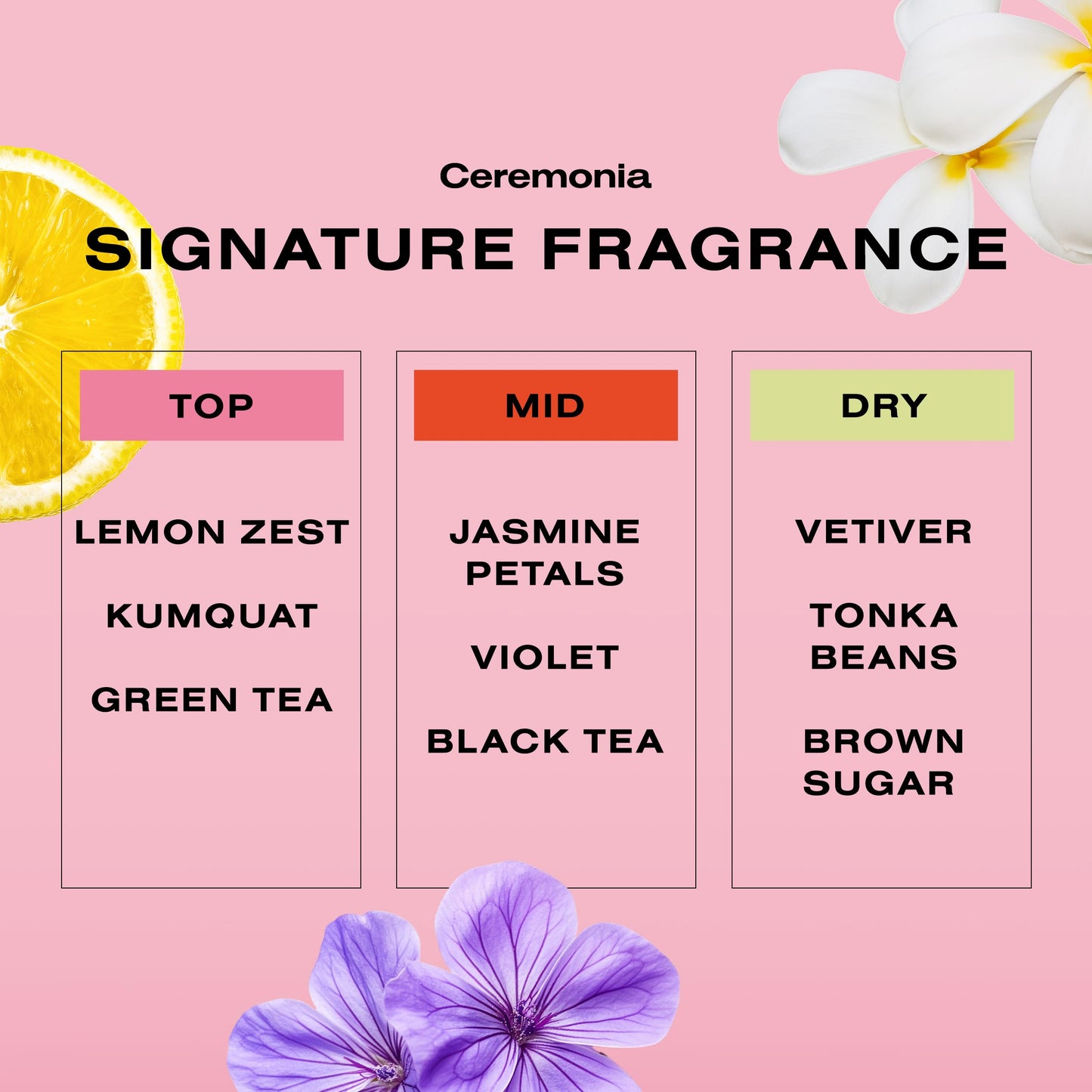 Ceremonia Scalp Power-Duo Aceite de Moska & Scalp Masajeador Aloe Vera Babassu Castor 2 Fl Oz 60 mL