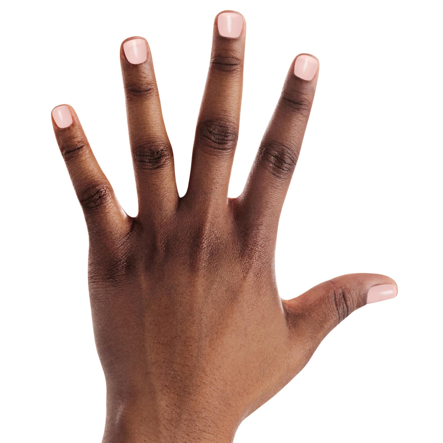 SOPHi Prime + Shine + Seal System (Primer/Sealer + Topcoat assembled in box) Non Toxic, Safe, Free of All Harsh Chemicals