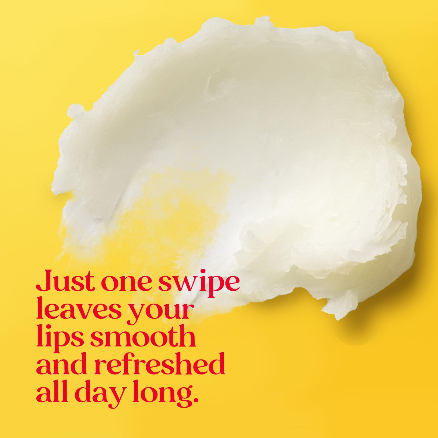 Burt's Bees 100% Natural Lip Balm, Wild Cherry and Vanilla Bean Blister Box, 0.3 Ounce, 2 Count