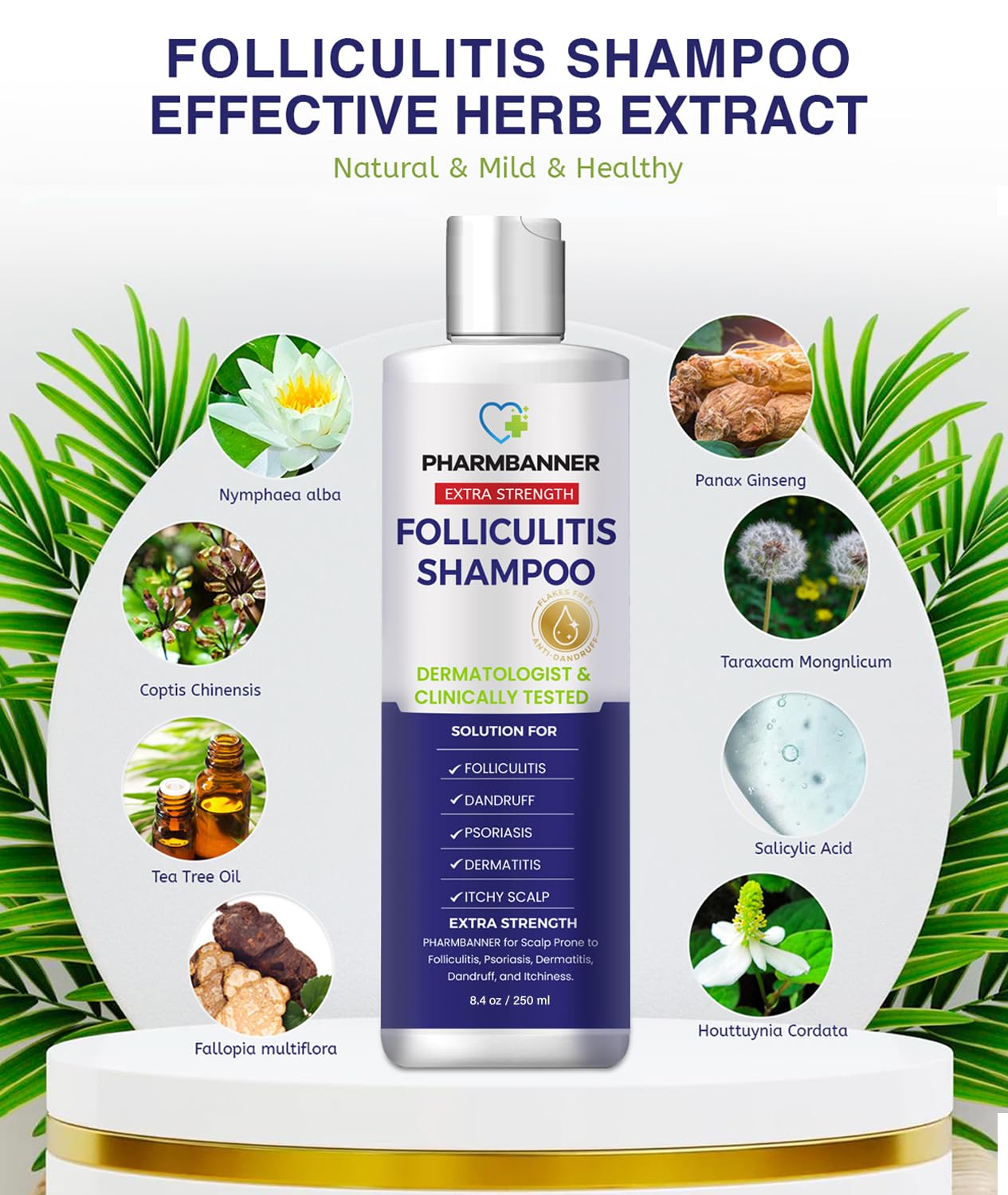 PHARMBANNER Anti-Fungal Shampoo for Itchy, Dry Scalp - Supports Scalp Health, Helps with Folliculitis, Seborrheic Dermatitis & Scalp Flaking-2 Pack