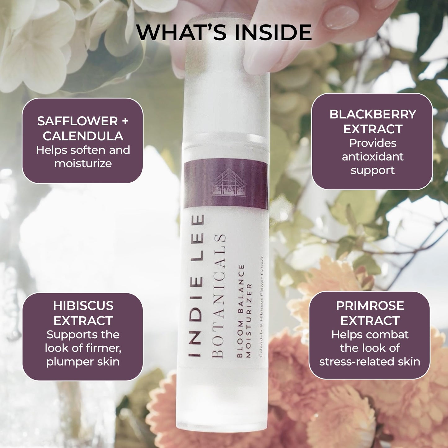 Bloom Balance Lightweight Face Moisturizer - Hydrating Clean Daily Moisturizer with Botanical Extracts | Non-Greasy Cream for Balanced, Radiant Skin |