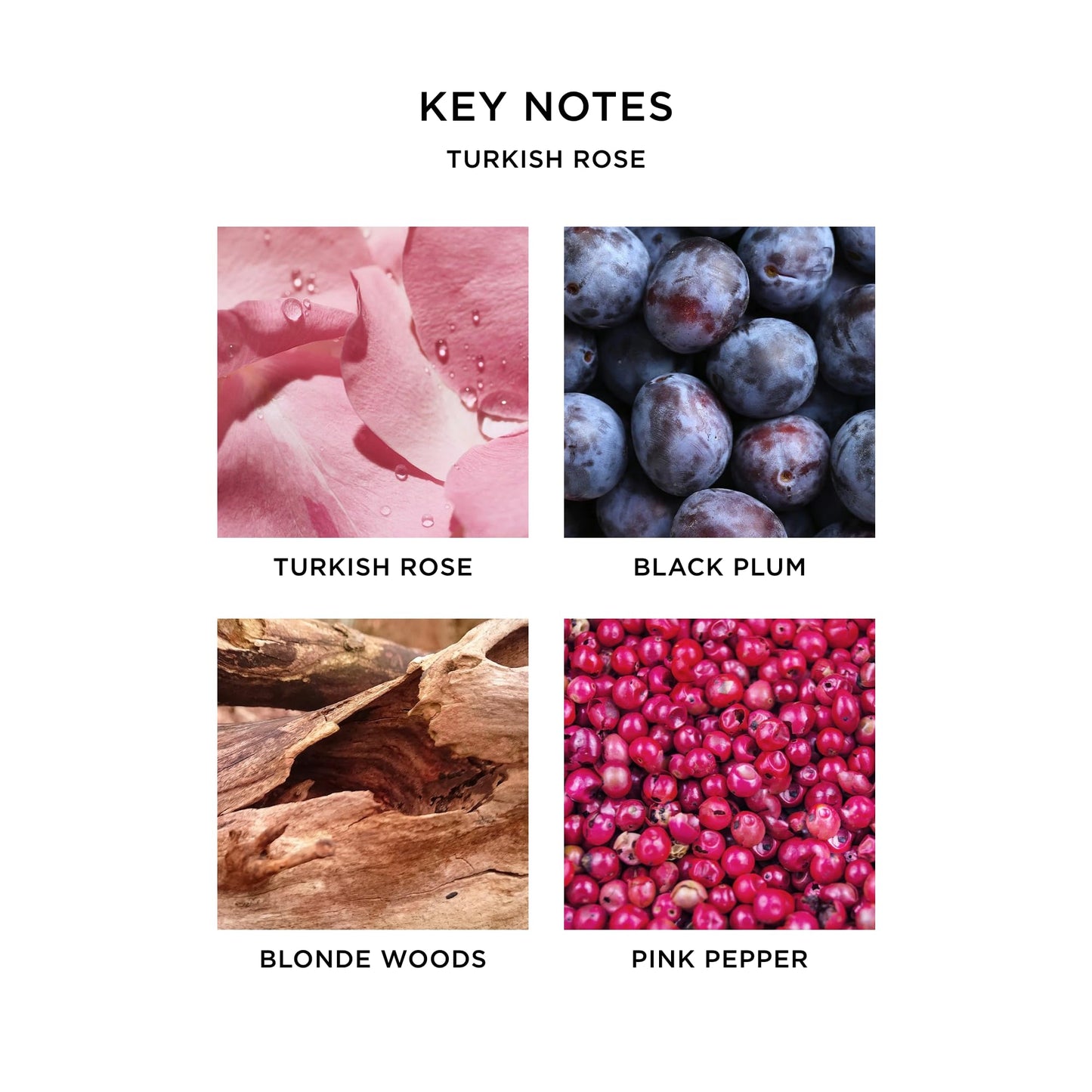 NEST New York Perfume Oil Bundle (Rollerball) - Includes Seville Orange & Turkish Rose - 6 mL Each - Vegan & Cruelty Free