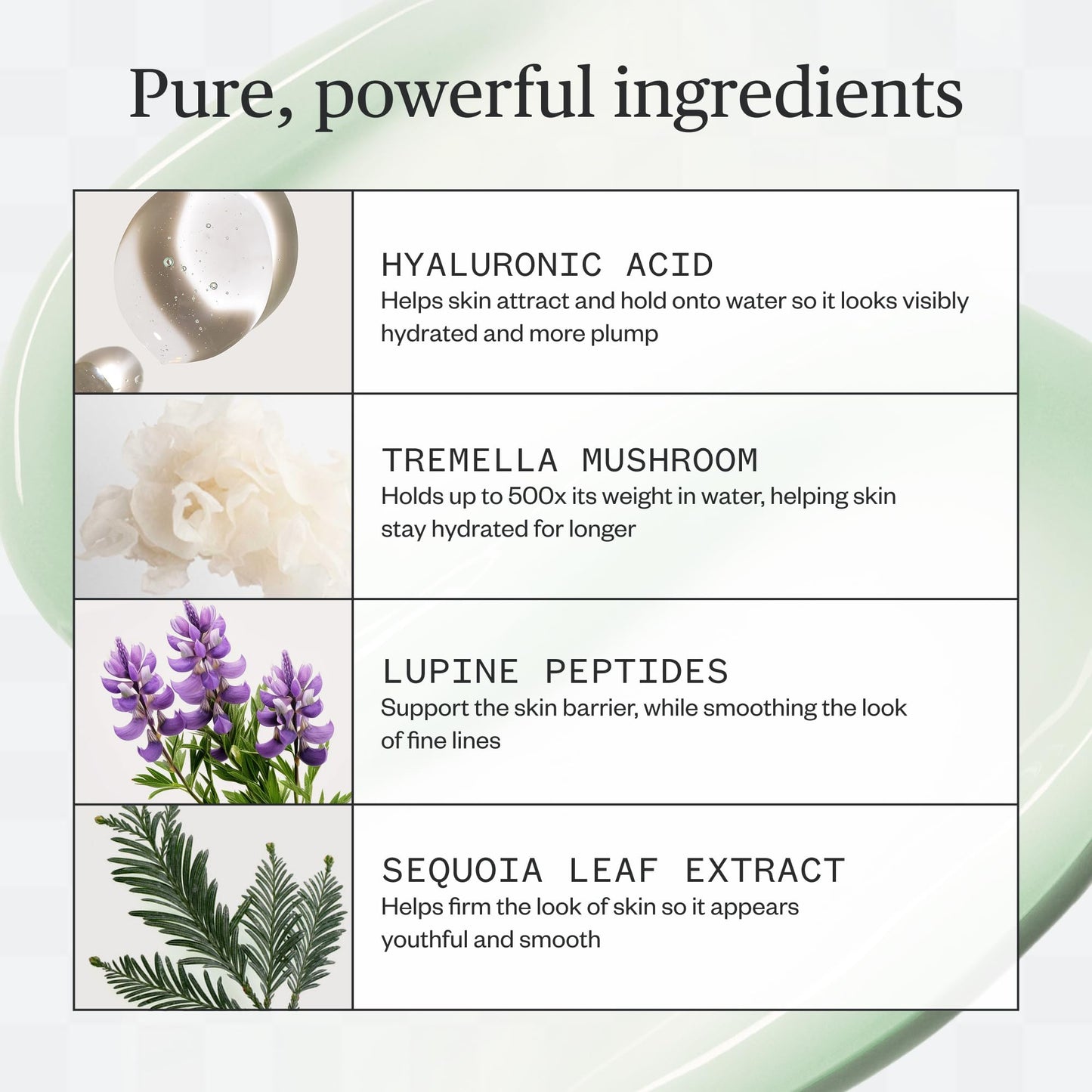 Ursa Major Forest Water Hyaluronic Serum | Deeply Hydrating Natural Face Serum | Boosts Firmness, Plumps Skin & Smooths Appearance of Fine Lines |