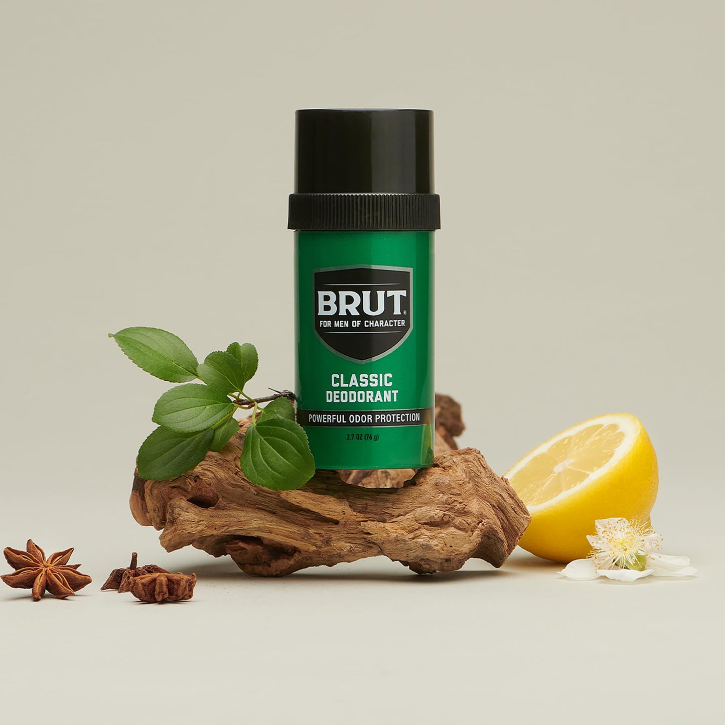 Brut Round Solid Deodorant For Men, 2.5 oz Beauty and Personal Care Brut
