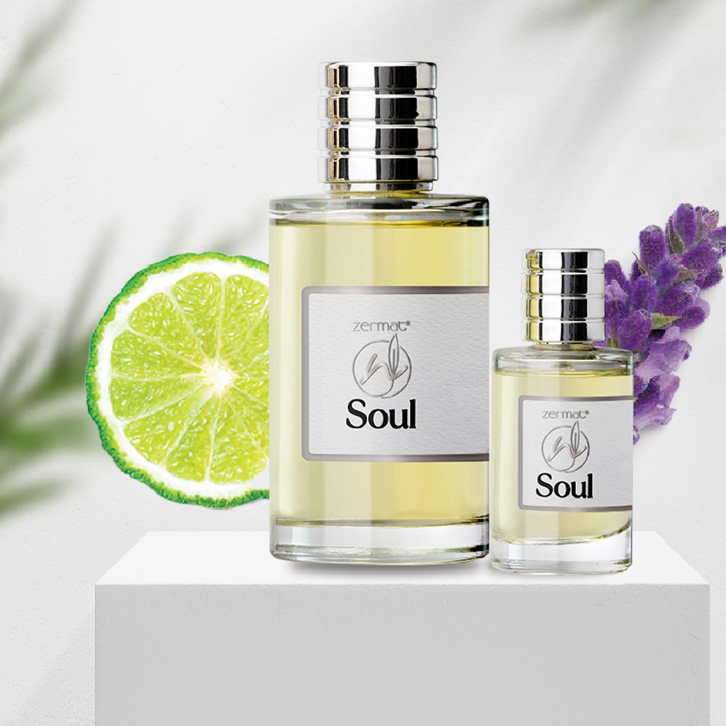 Zermat Soul Men's Fragrance Duo - Fresh Herbal Scent - 3.55 Fl. Oz & Miniature 0.85 Fl. Oz - Unleash Your Inner Confidence