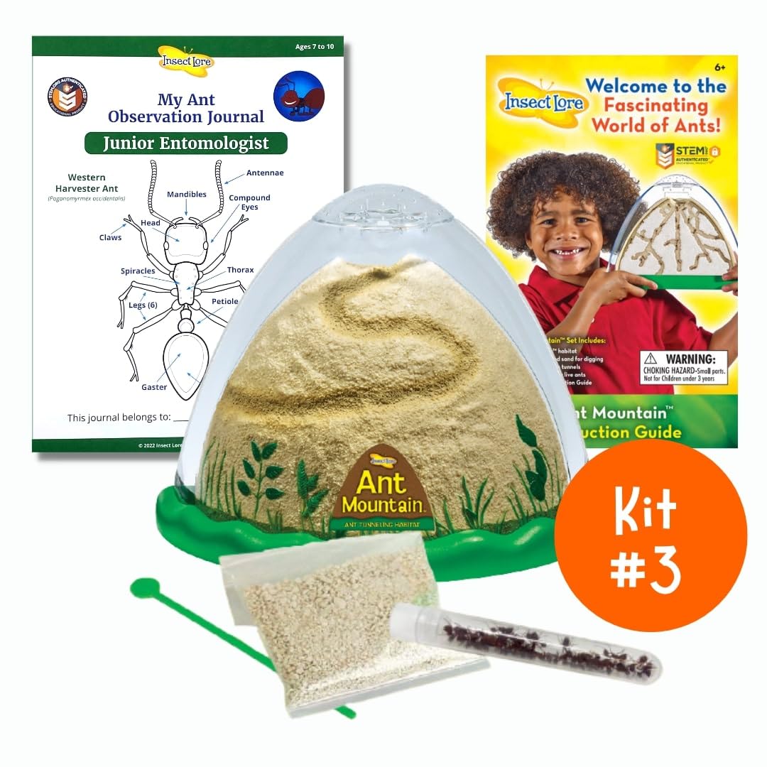 Insect Lore Bug Camp Bundle – Live Butterfly, Ladybug & Ant Kits with Caterpillars, Larvae, Ants & Bonus Life Cycle Figurines