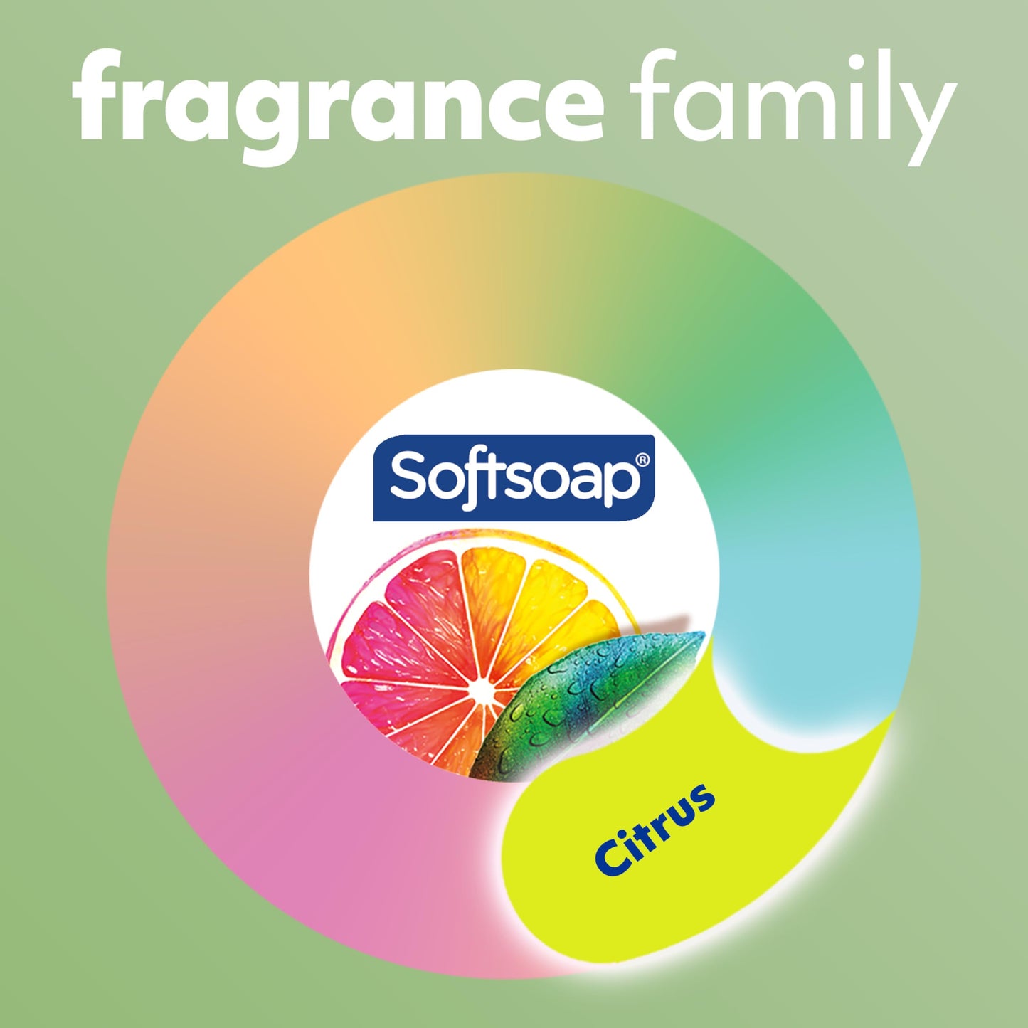 Softsoap ANTIBACTERIAL FRESH CITRUS 50OZ
