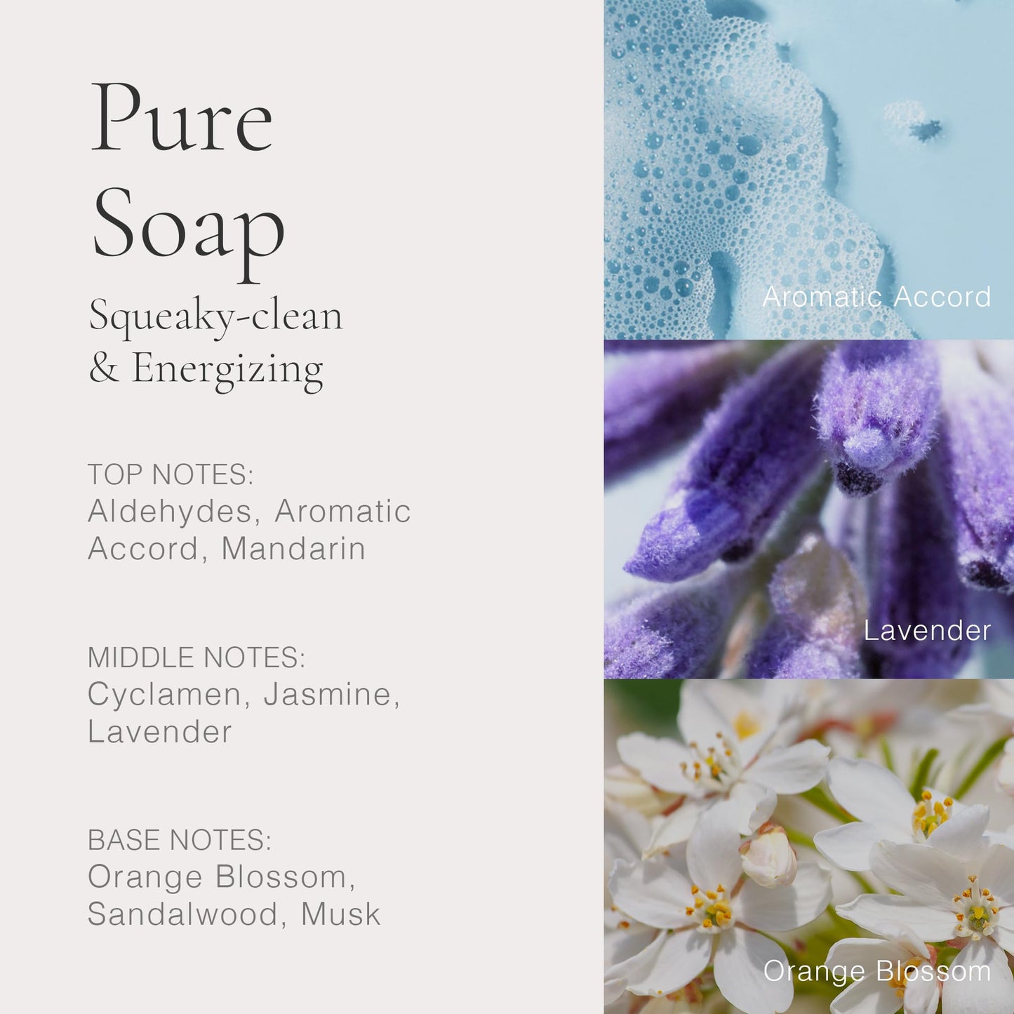 CLEAN CLASSIC Pure Soap 60mL
