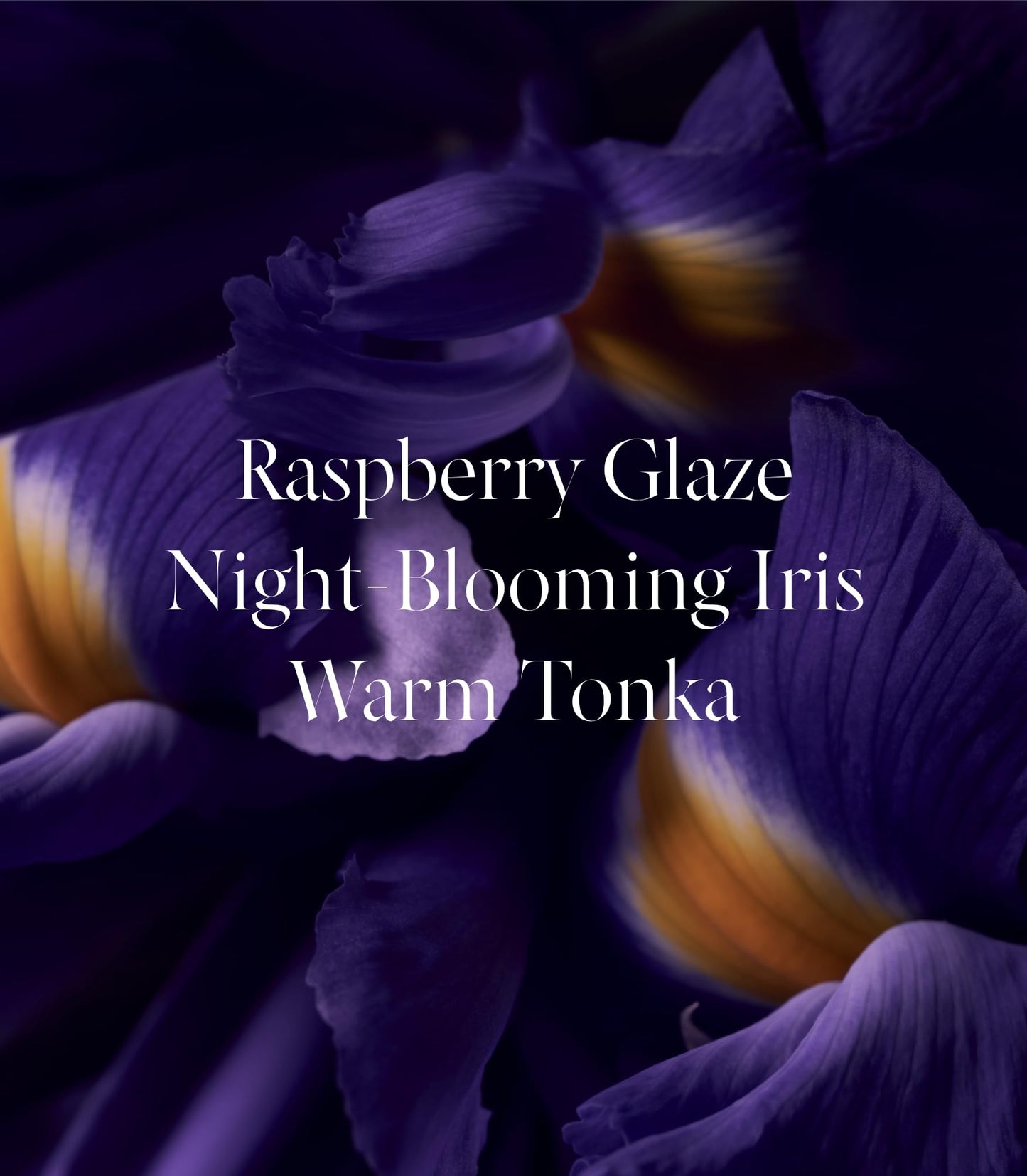 Victoria's Secret Tease Candy Noir Eau de Parfum Rollerball, Notes of Raspberry Glaze, Night-Blooming Iris & Warm Tonka, Travel Size Mini Perfumes