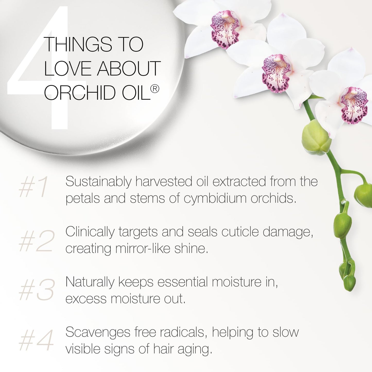 Redavid Orchid Oil Leave-In Conditioner - Ultra Nourishing Spray for Curly or Heavily Damaged Hair with Hemp Seed Oil and Healing Herbs - Clinically