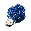 Neva Nude Face and Body Glitter Keychain - Chunky Loose Glitter for Festivals, Raves, and More | Cosmetic Grade | Super Sparkly (Poseidon Deep Blue