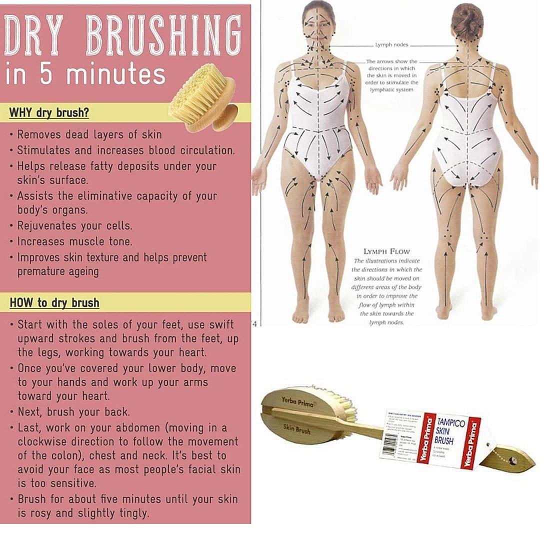 Yerba Prima Tampico Dry Skin Brush for Exfoliating and Blood Stimulation (Pack of 3)