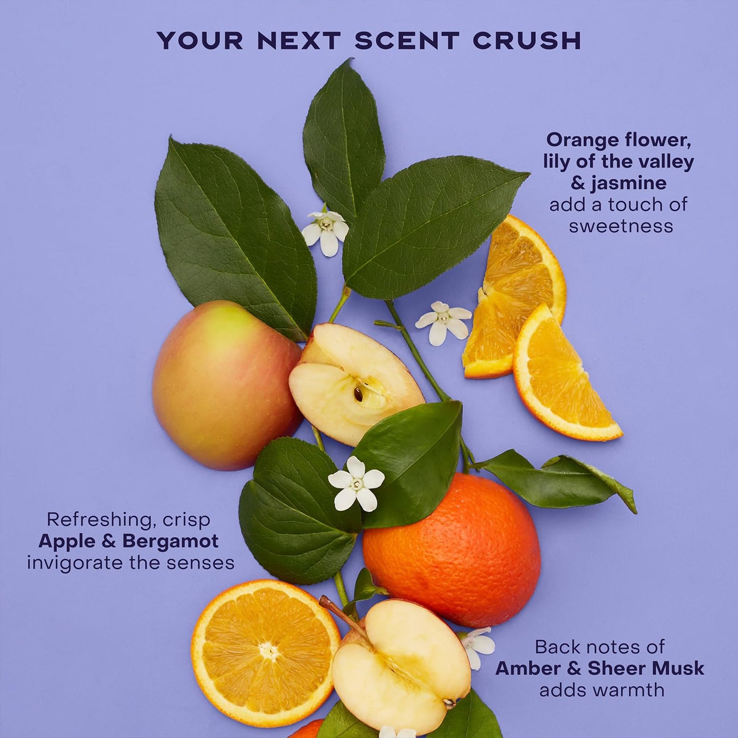 SheaMoisture Anti-Dandruff Shampoo & Conditioner + Scalp Repair & Hydrate Serum with Niacinamide, Shea Butter, 3% Salicylic Acid for Flakes & Itchy