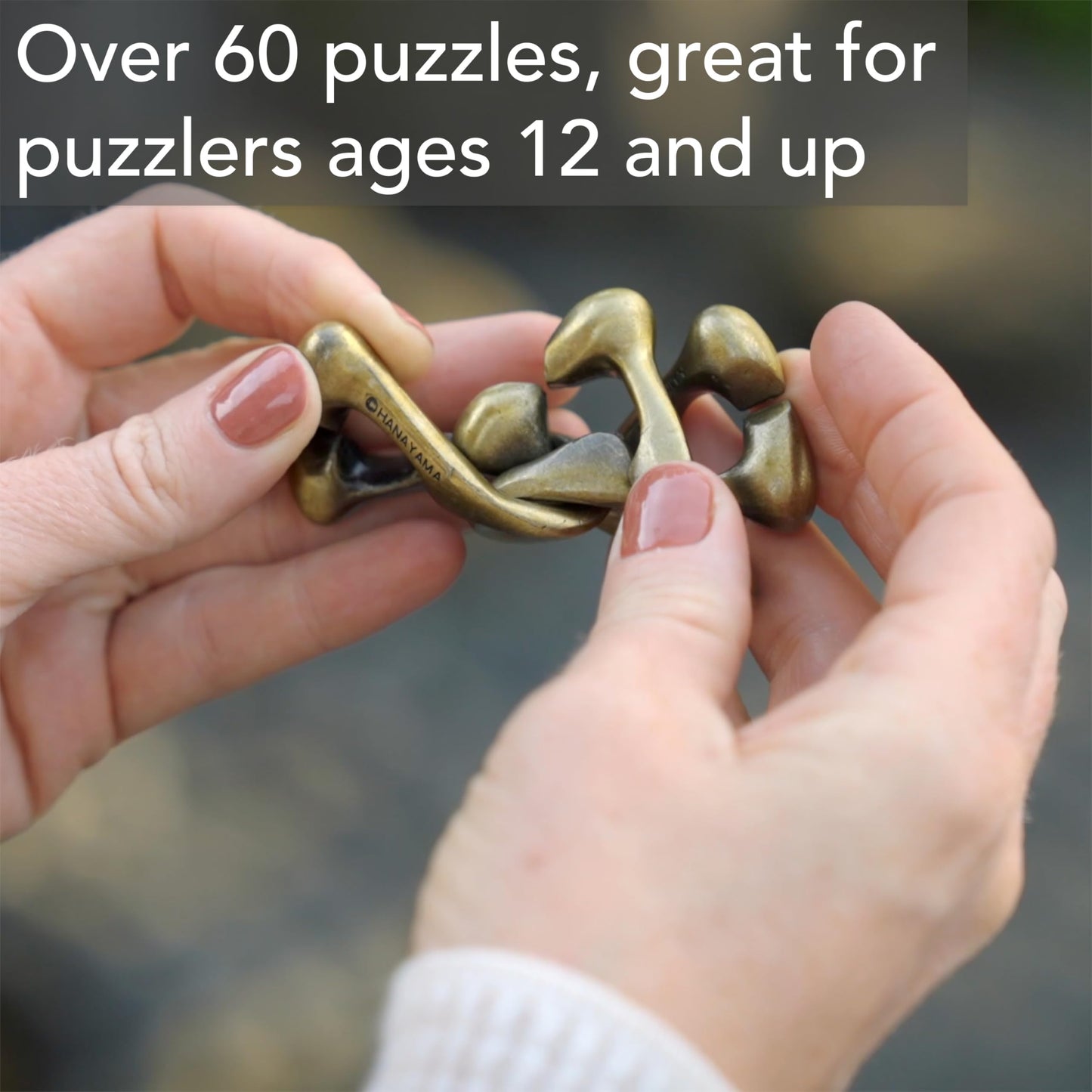 BePuzzled | Quartet Hanayama Metal Brainteaser Puzzle Mensa Rated Level 6, for Ages 12 and Up