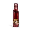 Harry Potter Hermione Aluminum Sleek Insulated 16 Ounce Water Bottle For Girls, Boys & Kids - Leakproof Lids & Sweat Proof Drinking Bottle - Great