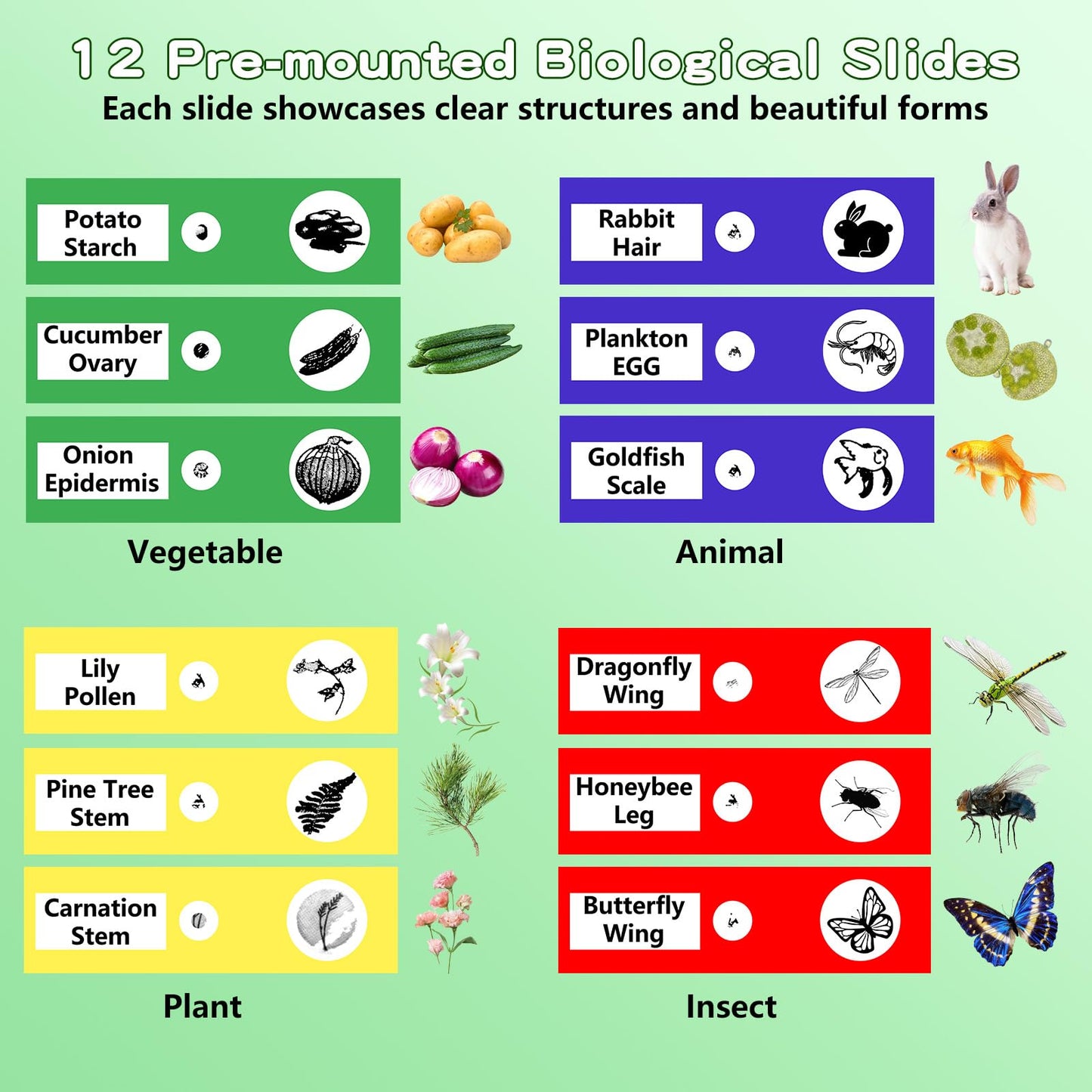 Odatay Kids Microscope – 100x-1000x 1080P Digital Handheld with 12 Slides, Portable Science Toy Gift for Boys & Girls Ages 3–12, Blue