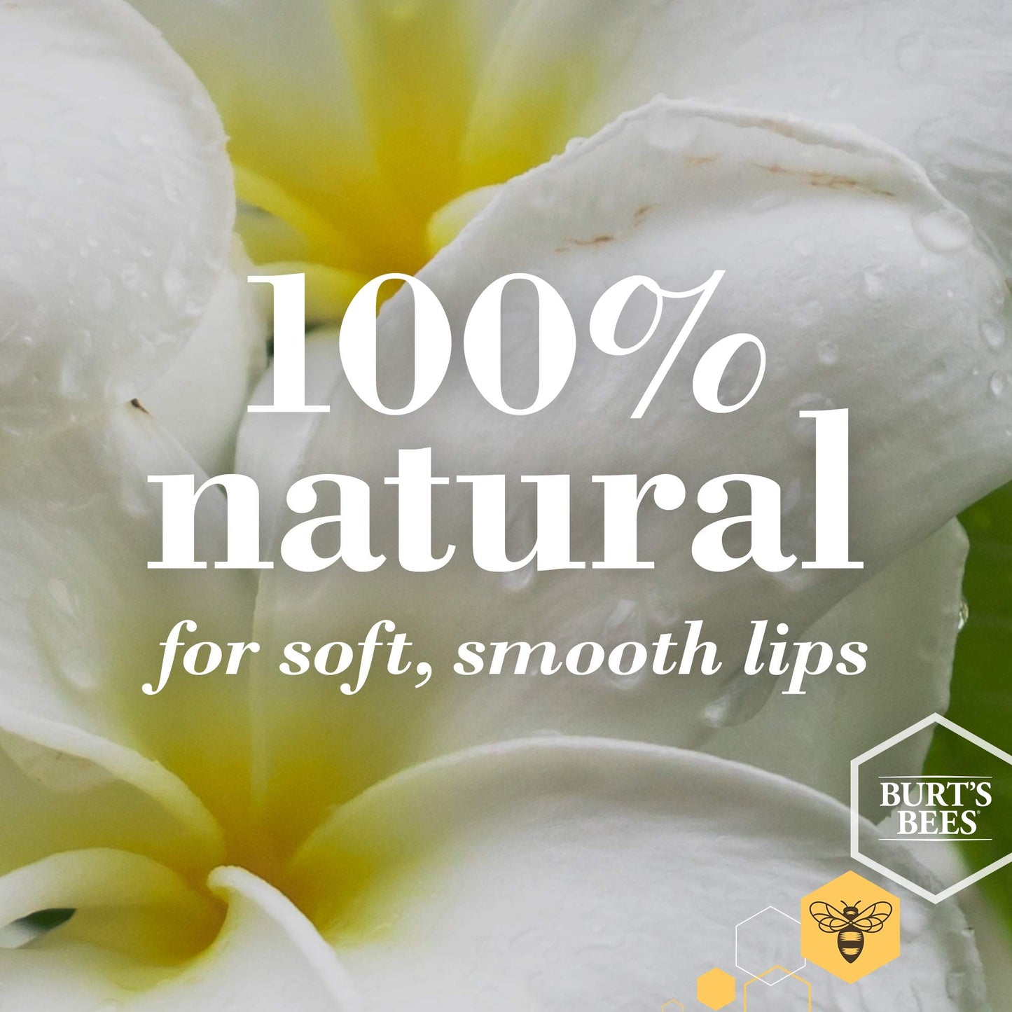 Burt's Bees 100% Natural Origin Lip Butter With Moisturizing Shea And Cocoa Butters, Lavender & Honey, 1 Tin Beauty and Personal Care Burt's Bees