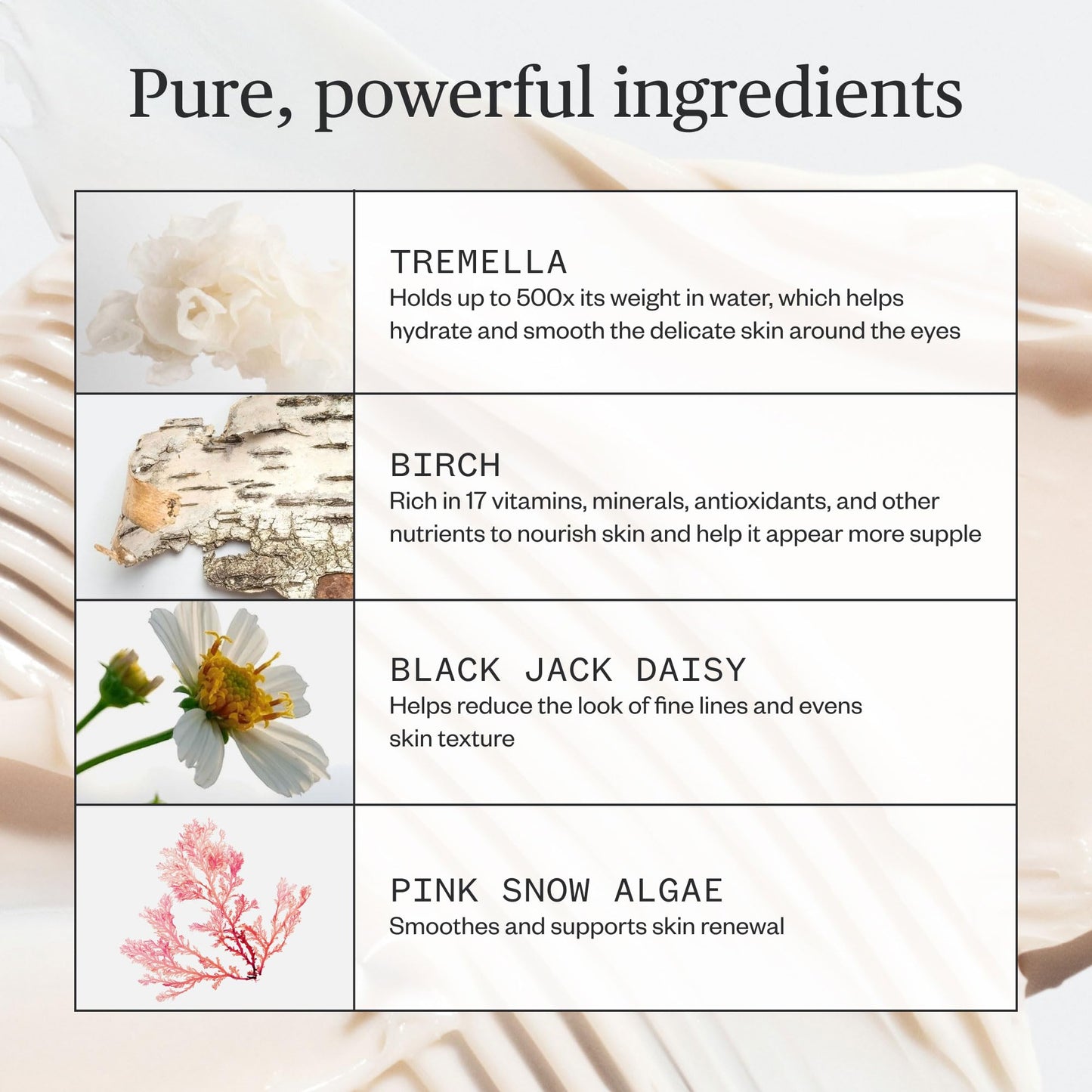 Ursa Major Forest Alchemy Eye Cream | Natural Under-Eye Moisturizer for Dark Circles, Fine Lines, Puffy Eyes and Wrinkles | Vegan, Cruelty-Free