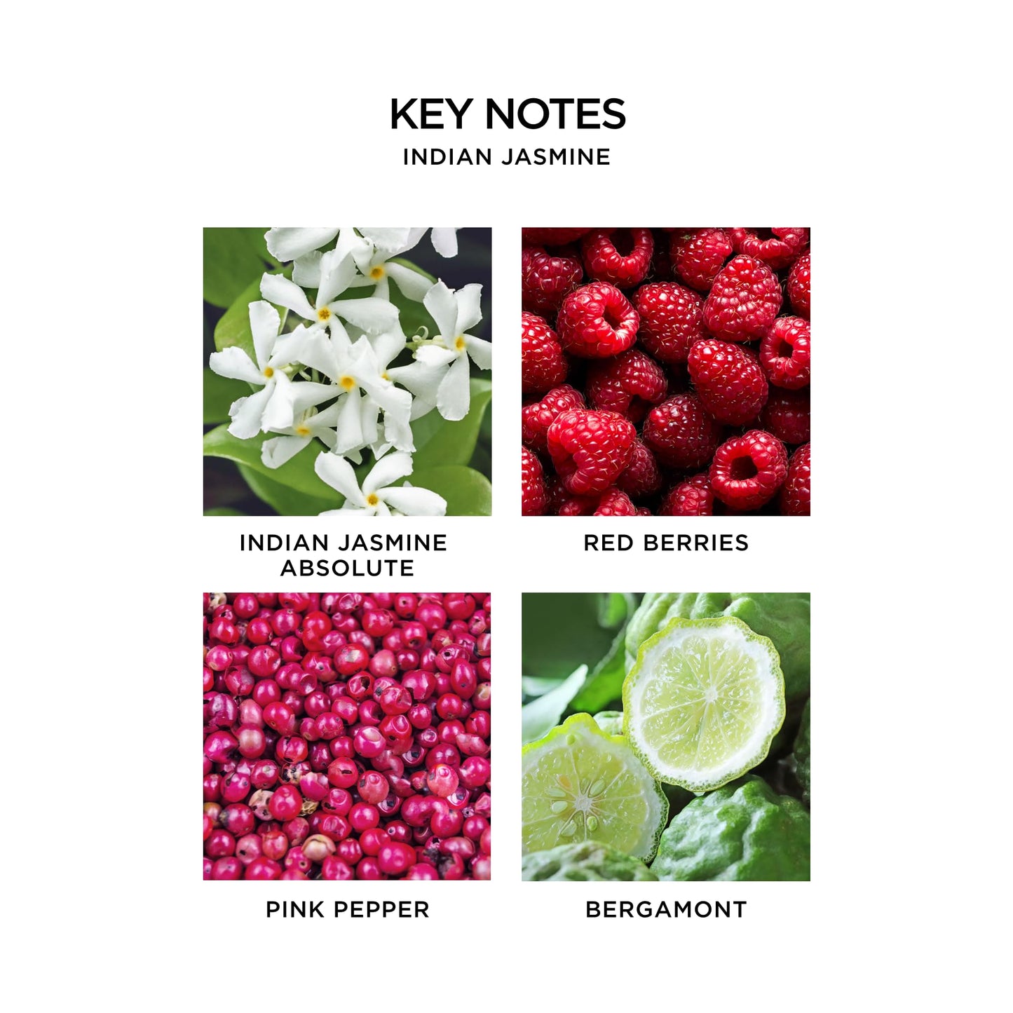 NEST New York Perfume Oil Discovery Set - Includes Balinese Coconut, Turkish Rose, Seville Orange, Indian Jasmine & Madagascar Vanilla - Vegan