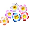 Calcifer® 30pcs 1.97''Hawaii Hawaiian Plumeria Flower Clips Bridal Wedding Party Beach Hair Clips(5CM,1.97inches)