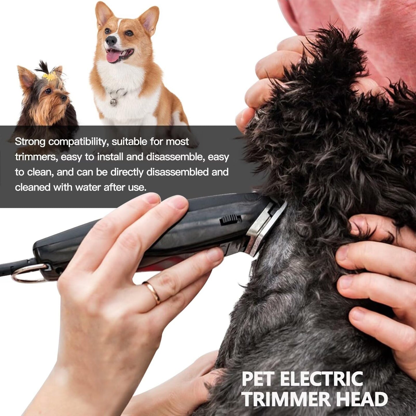 2025 New Pet Dog Clipper Ceramic Blade for Most Andis Oster A5 Wahl - 0.25mm Beauty and Personal Care GRABOTE